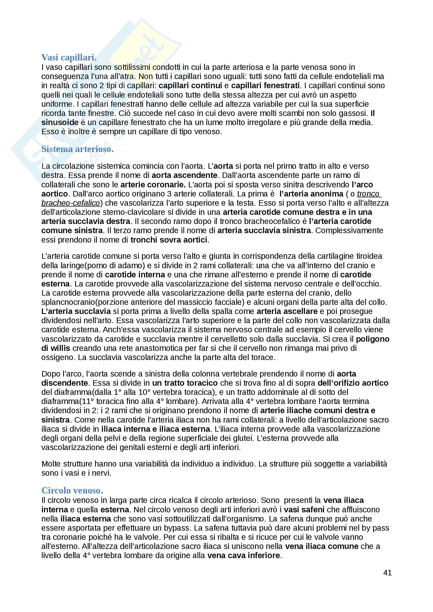Lezioni: Appunti di Anatomia umana Pag. 41