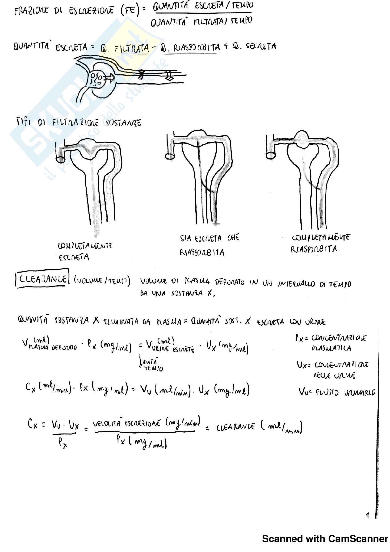 Documento completo per esame Fisiologia Renale Pag. 2