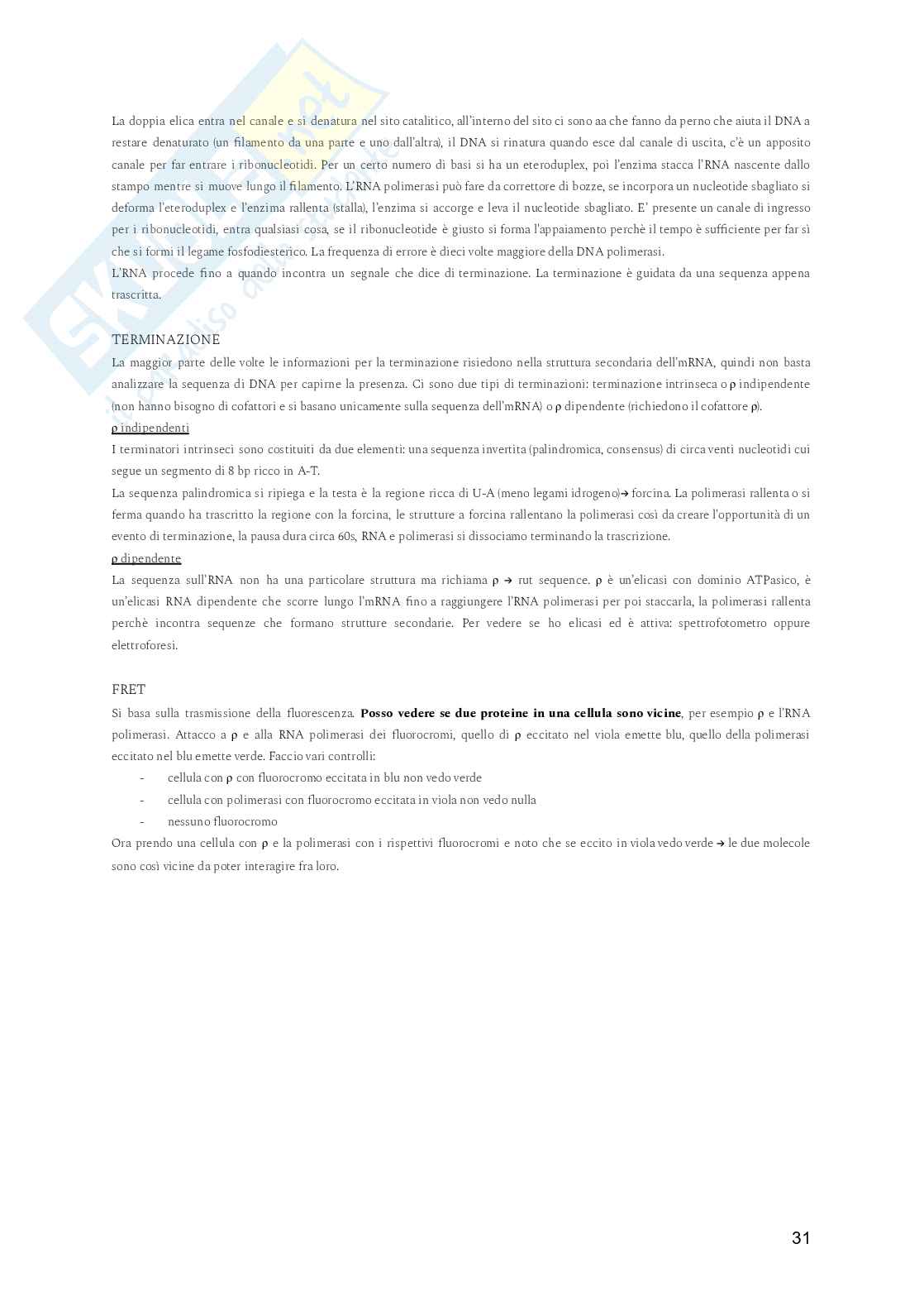 Biologia molecolare Pag. 31