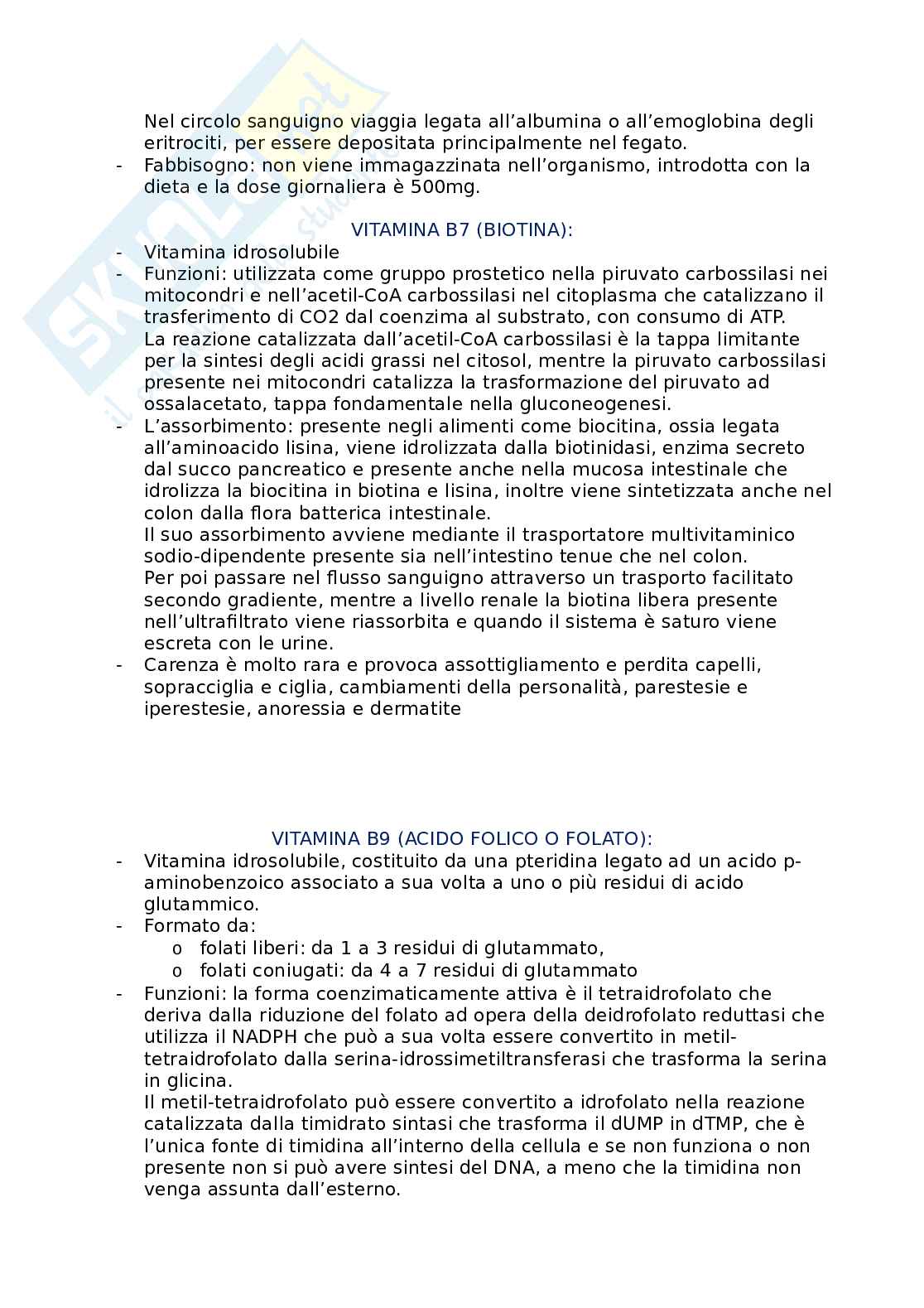 Appunti di Nutrizione a livello dell'organismo Pag. 6