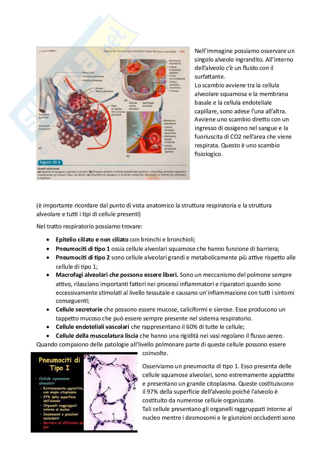 Esame di Farmacoterapia 1 - parte 5 Pag. 2