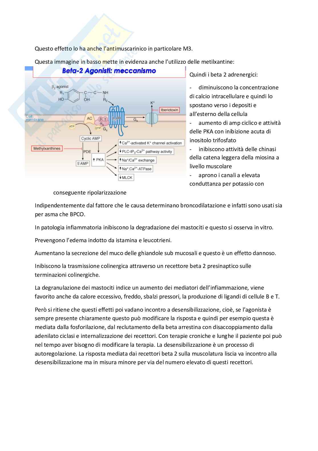 Esame di Farmacoterapia 1 - parte 5 Pag. 21