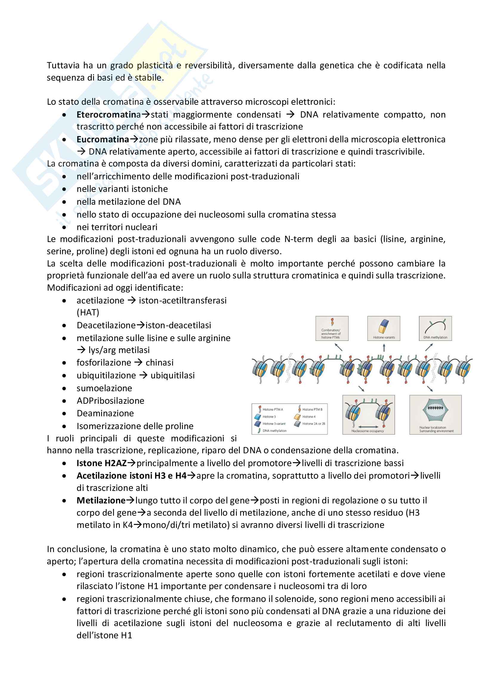 Genetica ed epigenetica Pag. 2