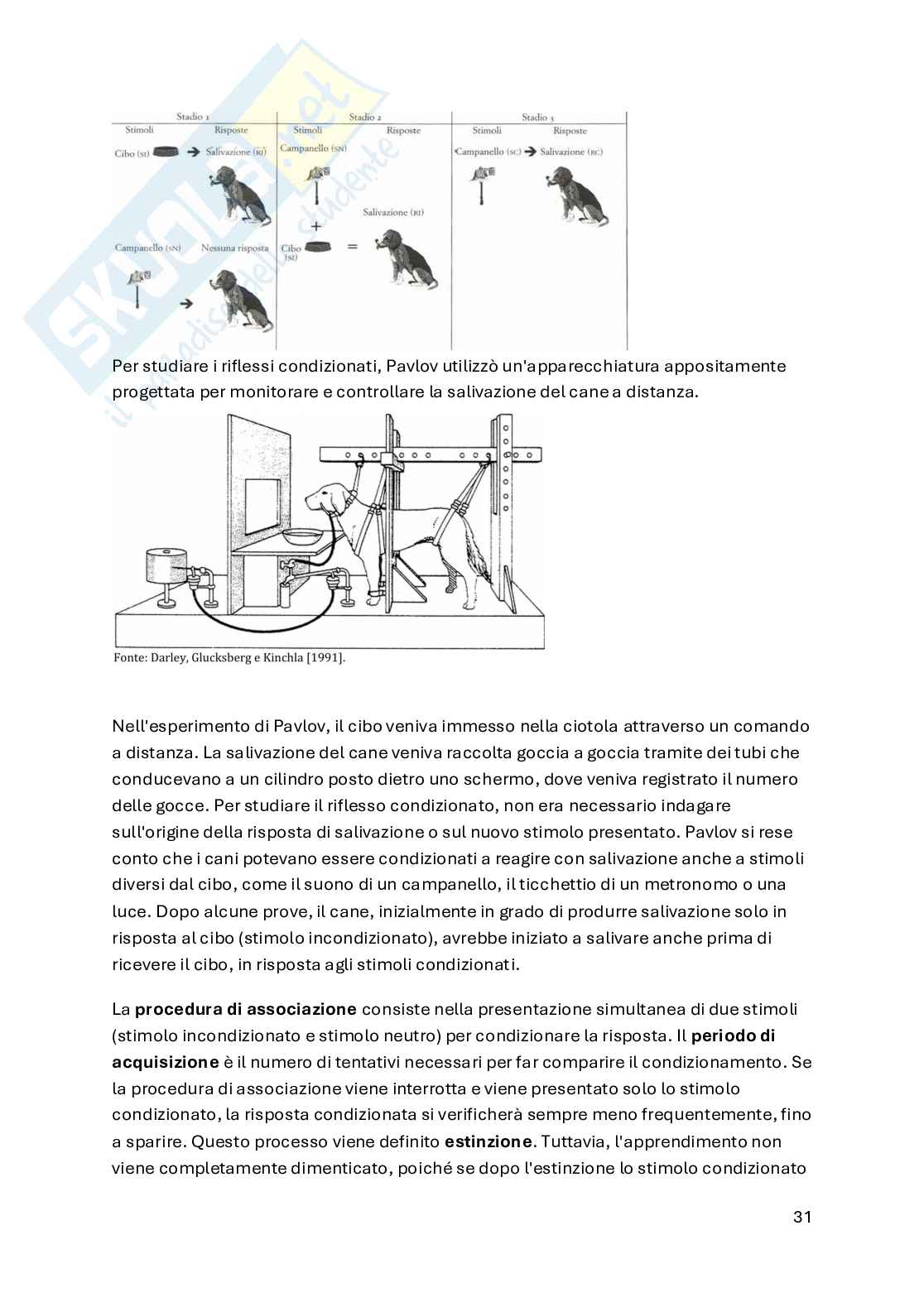 Psicologia dello sviluppo Pag. 31