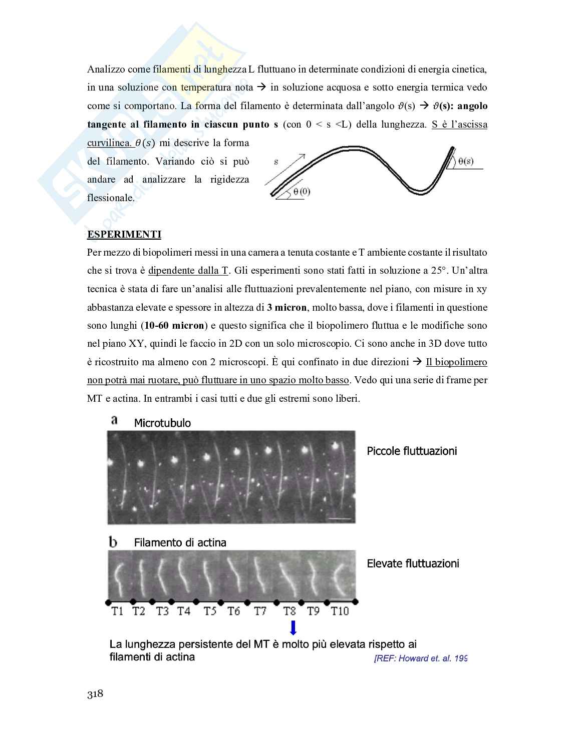 Appunti corso Bioingegneria cellulare pt.2 Pag. 46