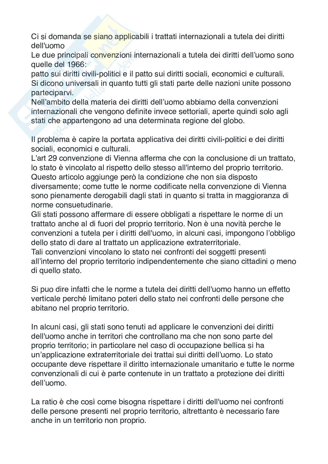 Lezioni di Diritto internazionale  Pag. 51