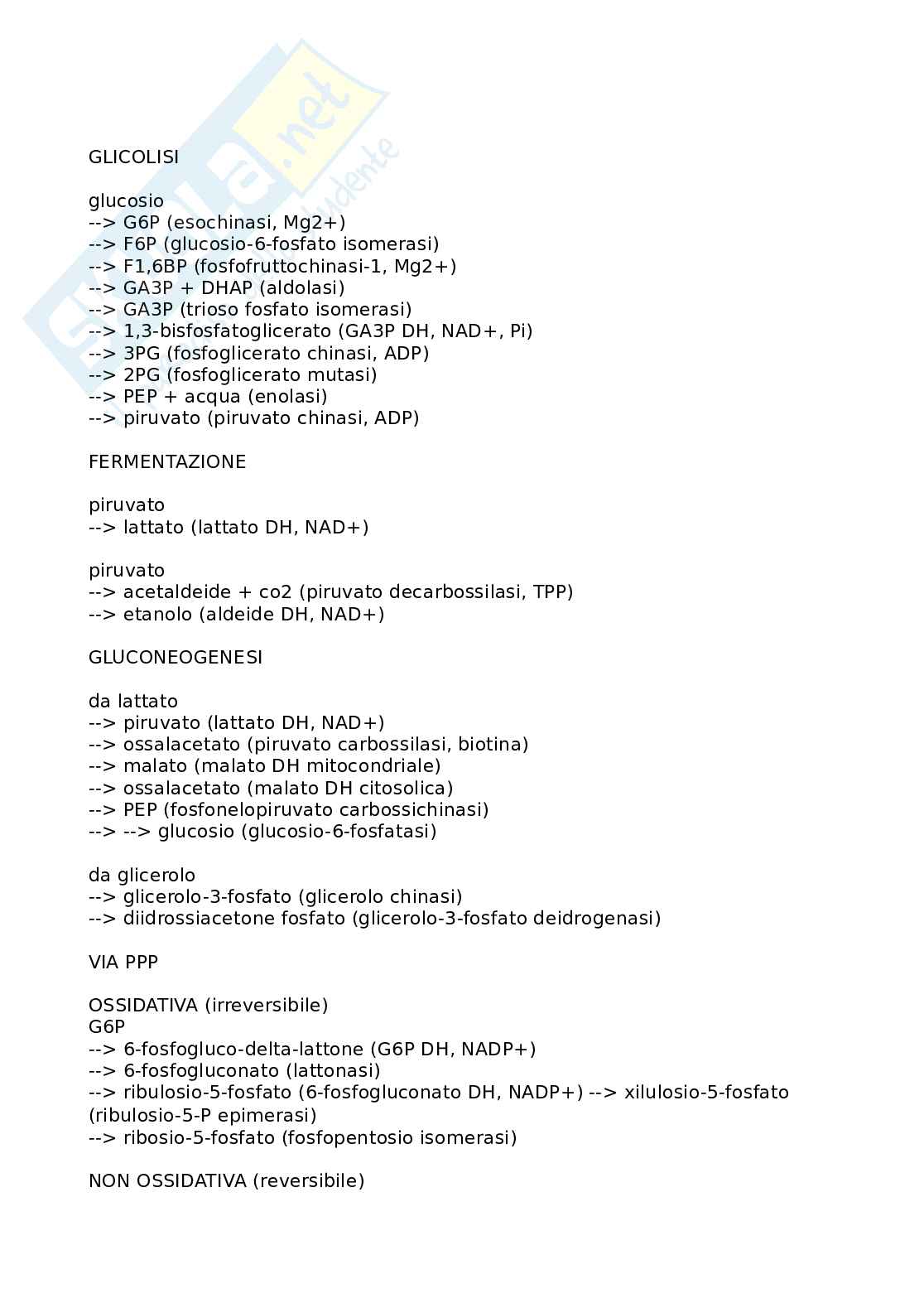 Lista schematizzata delle principali vie metaboliche con enzimi ed intermedi Pag. 1