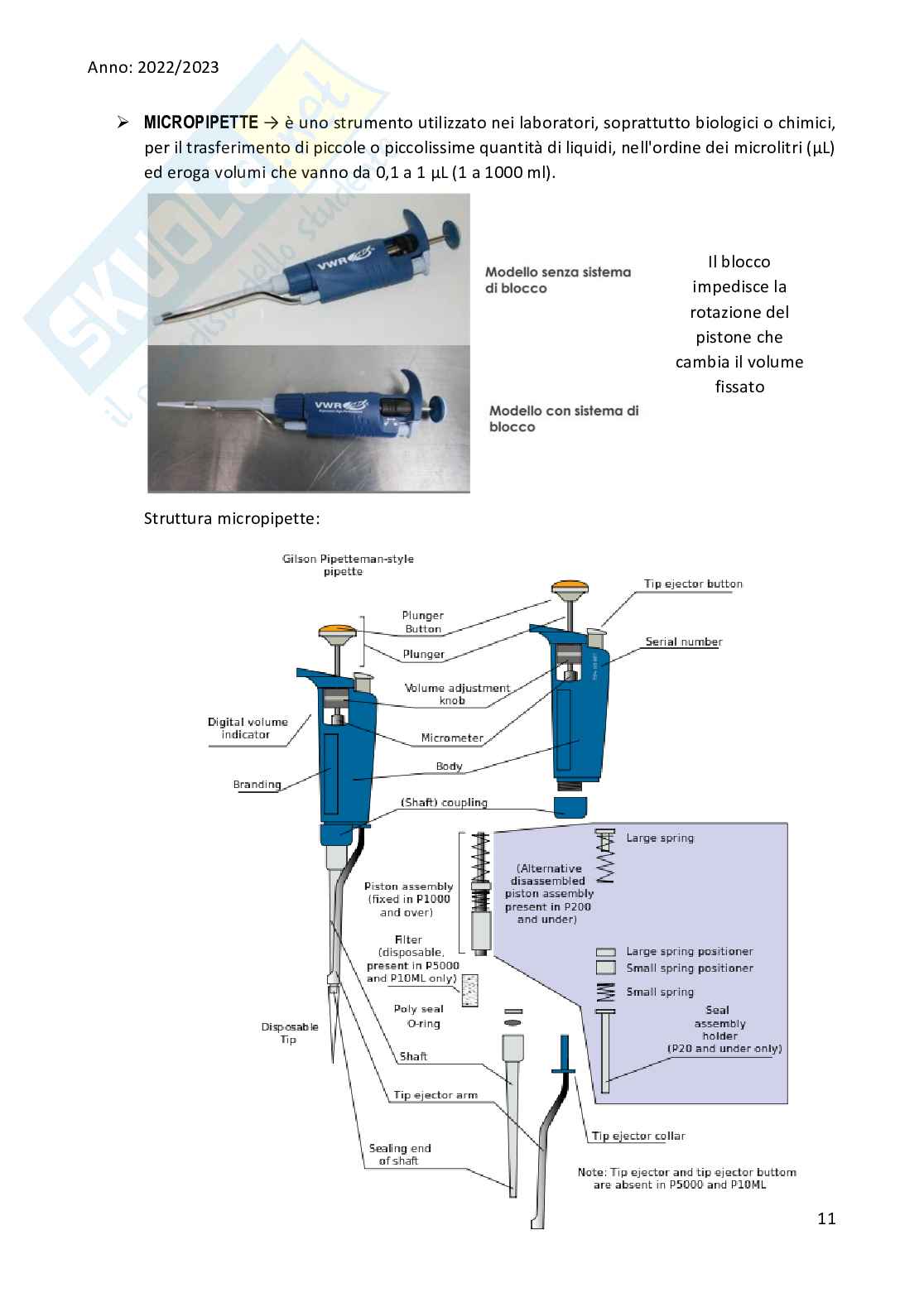 Laboratorio 1  Pag. 11