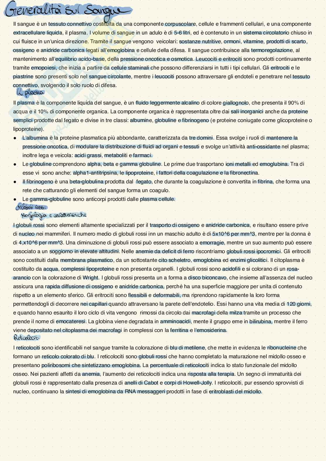 Riassunto esame Istologia ed embriologia umana, Prof. Papaccio Gianpaolo, libro consigliato Istologia , Monesi Pag. 2