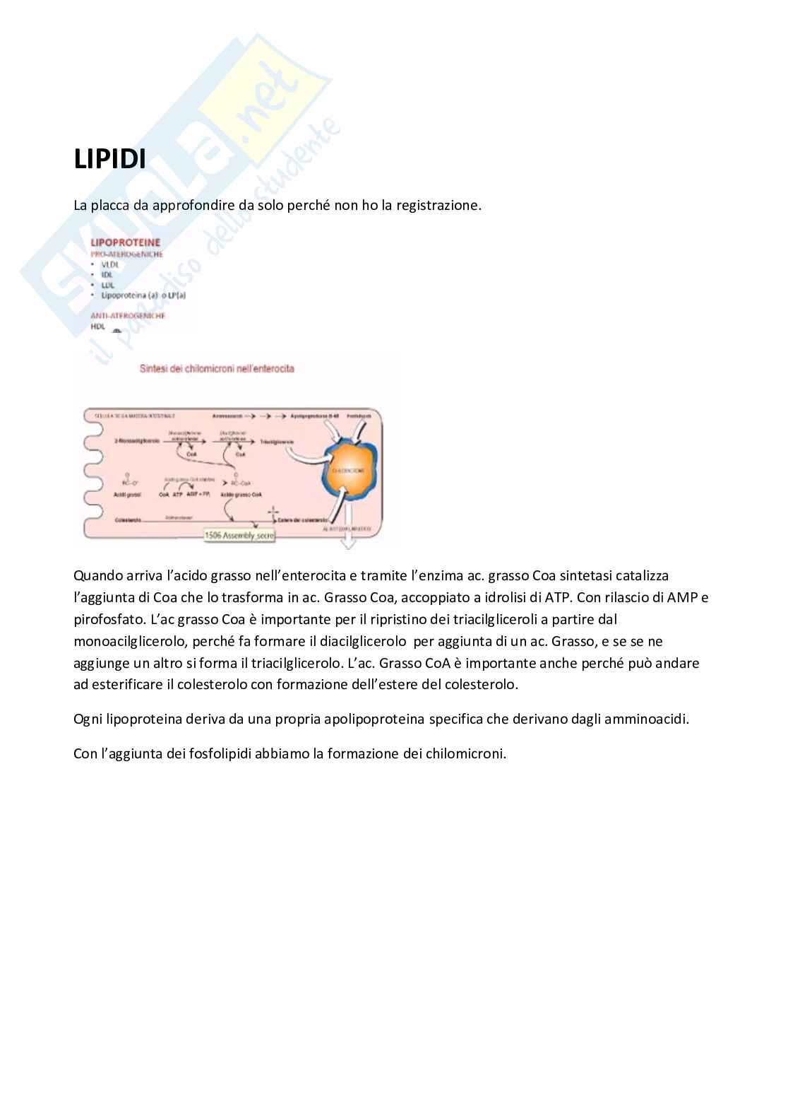 Fisiopatologia delle lipoproteine, trasporto del colesterolo e diagnostica delle dislipidemie Pag. 1
