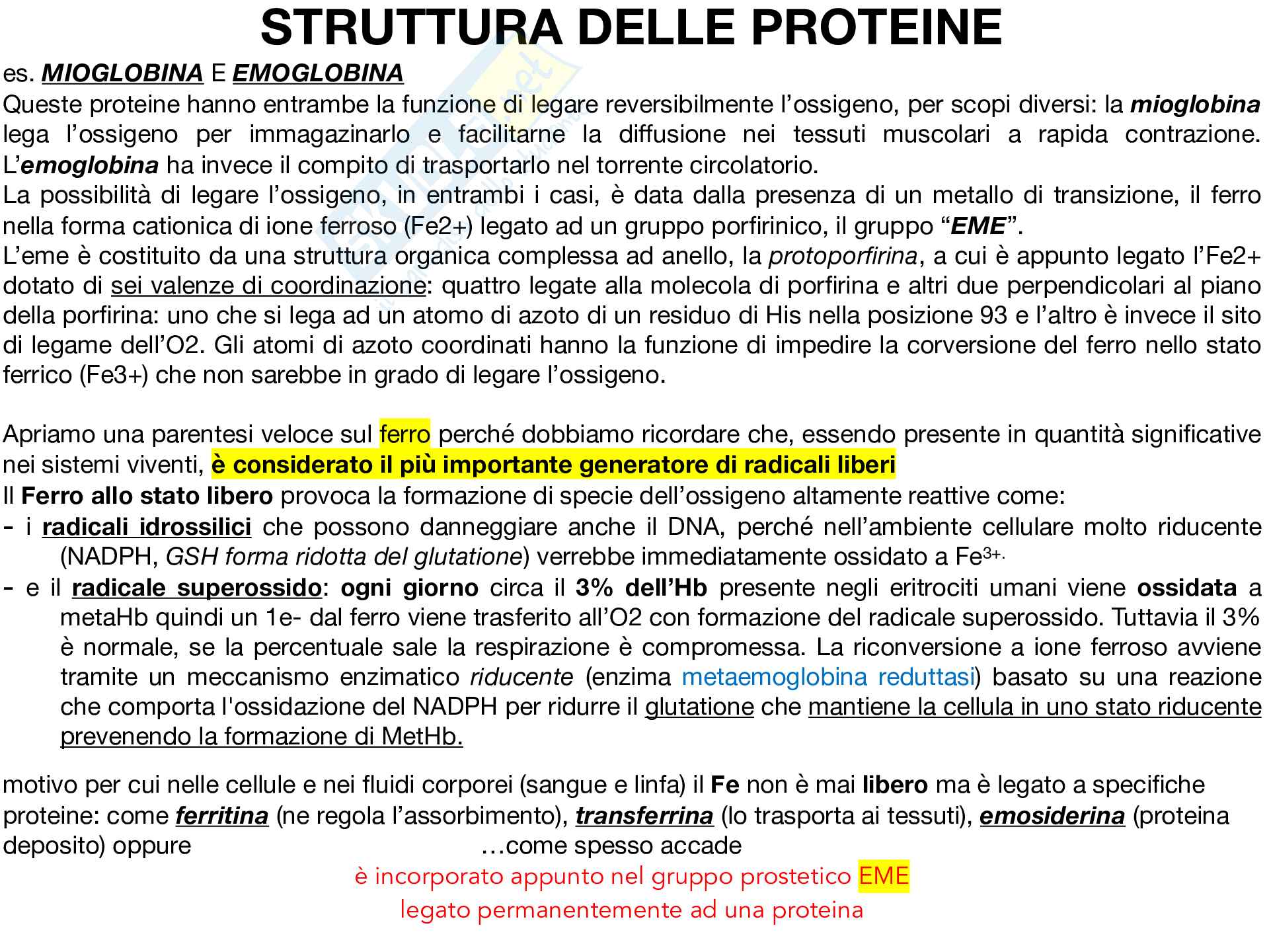 Biochimica Pag. 16