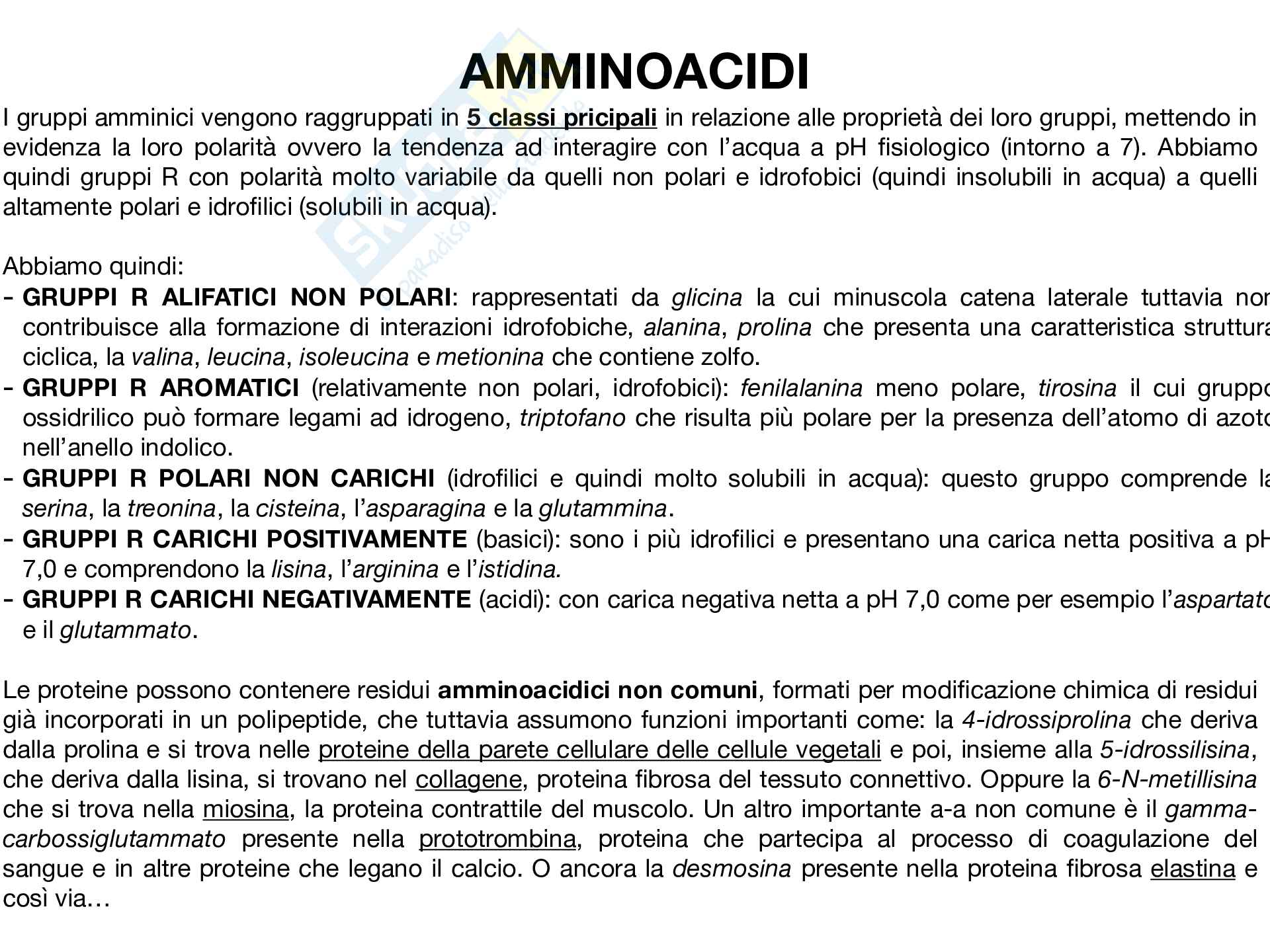 Biochimica Pag. 2