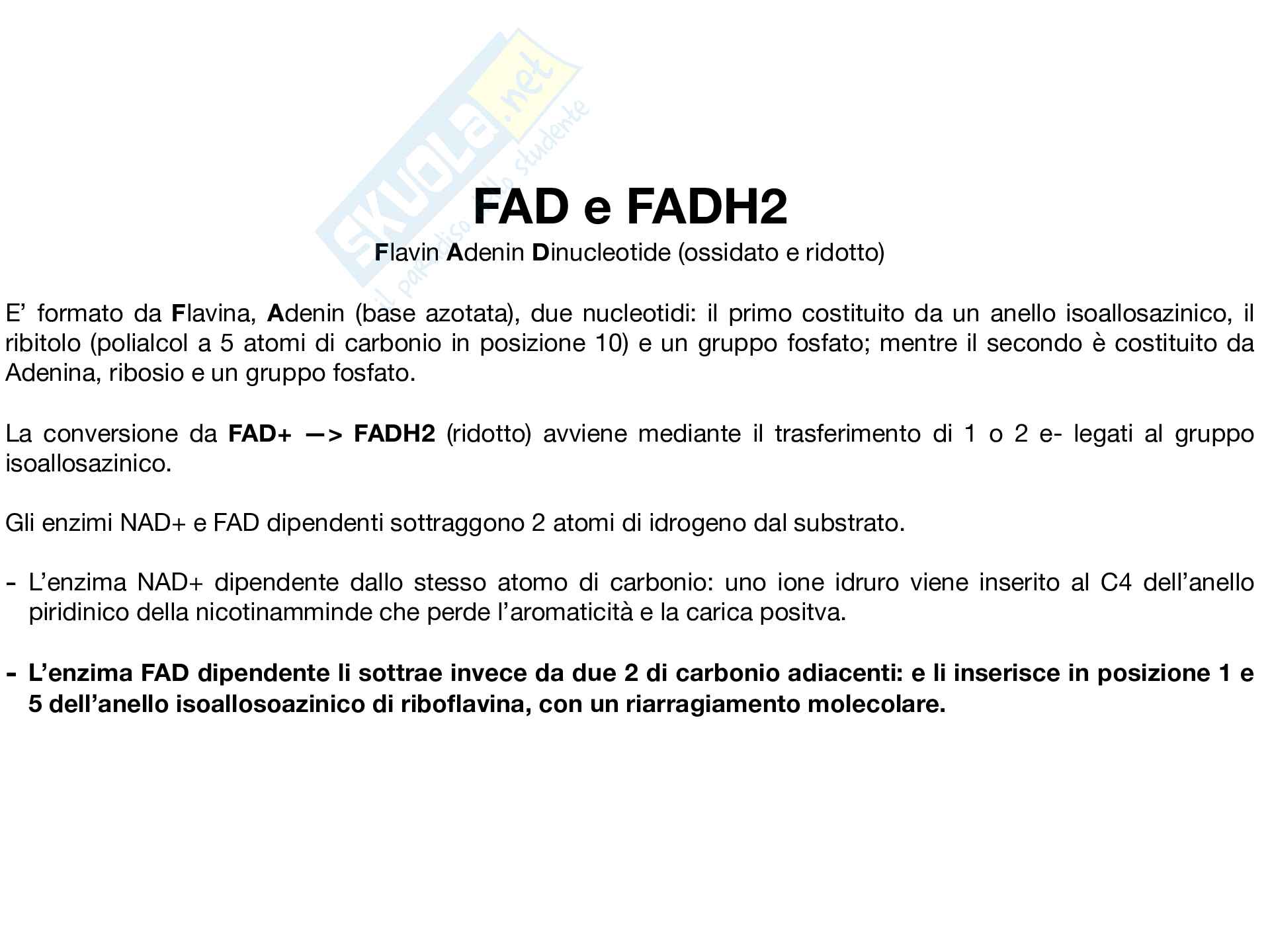 Biochimica Pag. 31