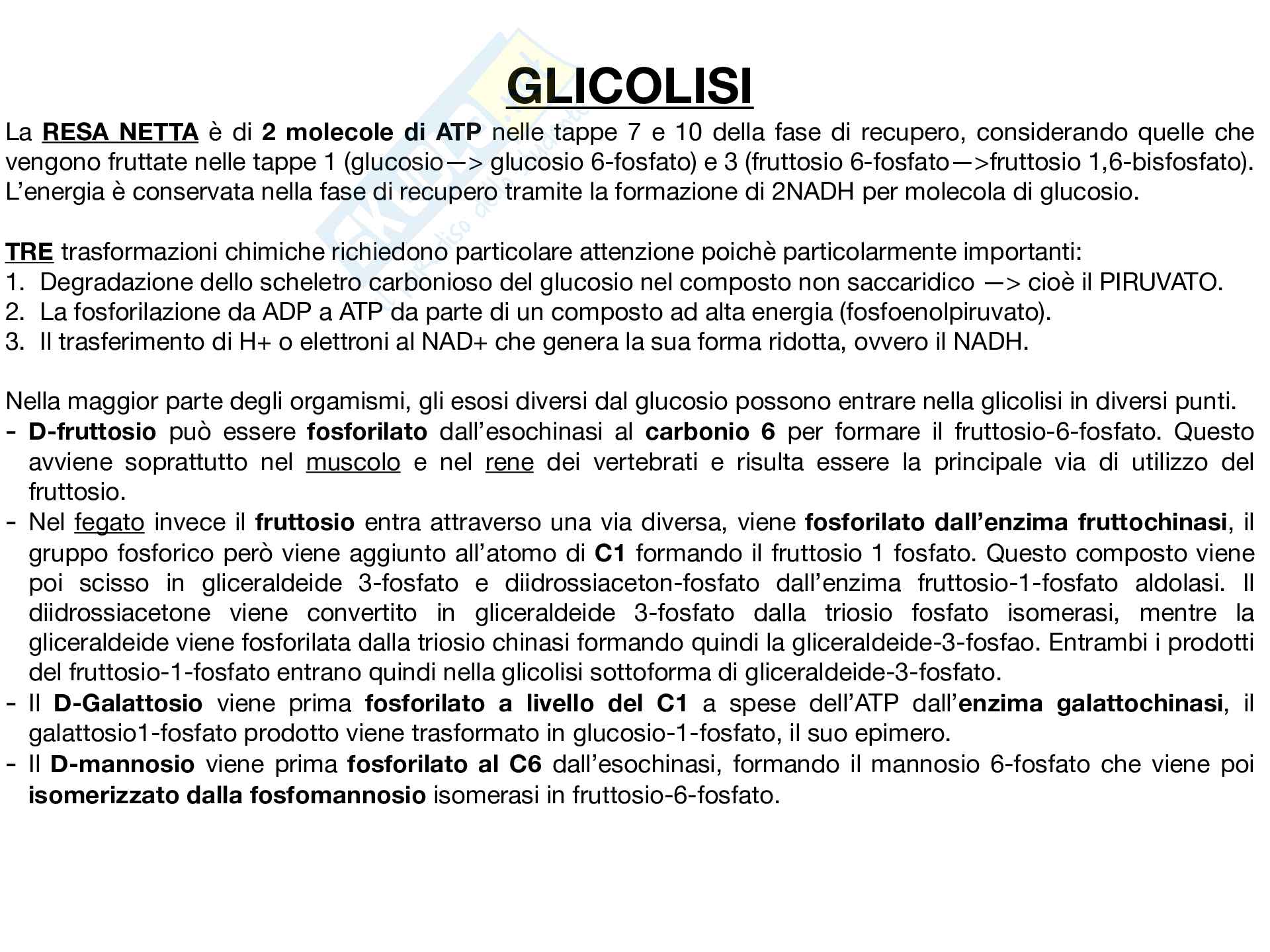 Biochimica Pag. 41