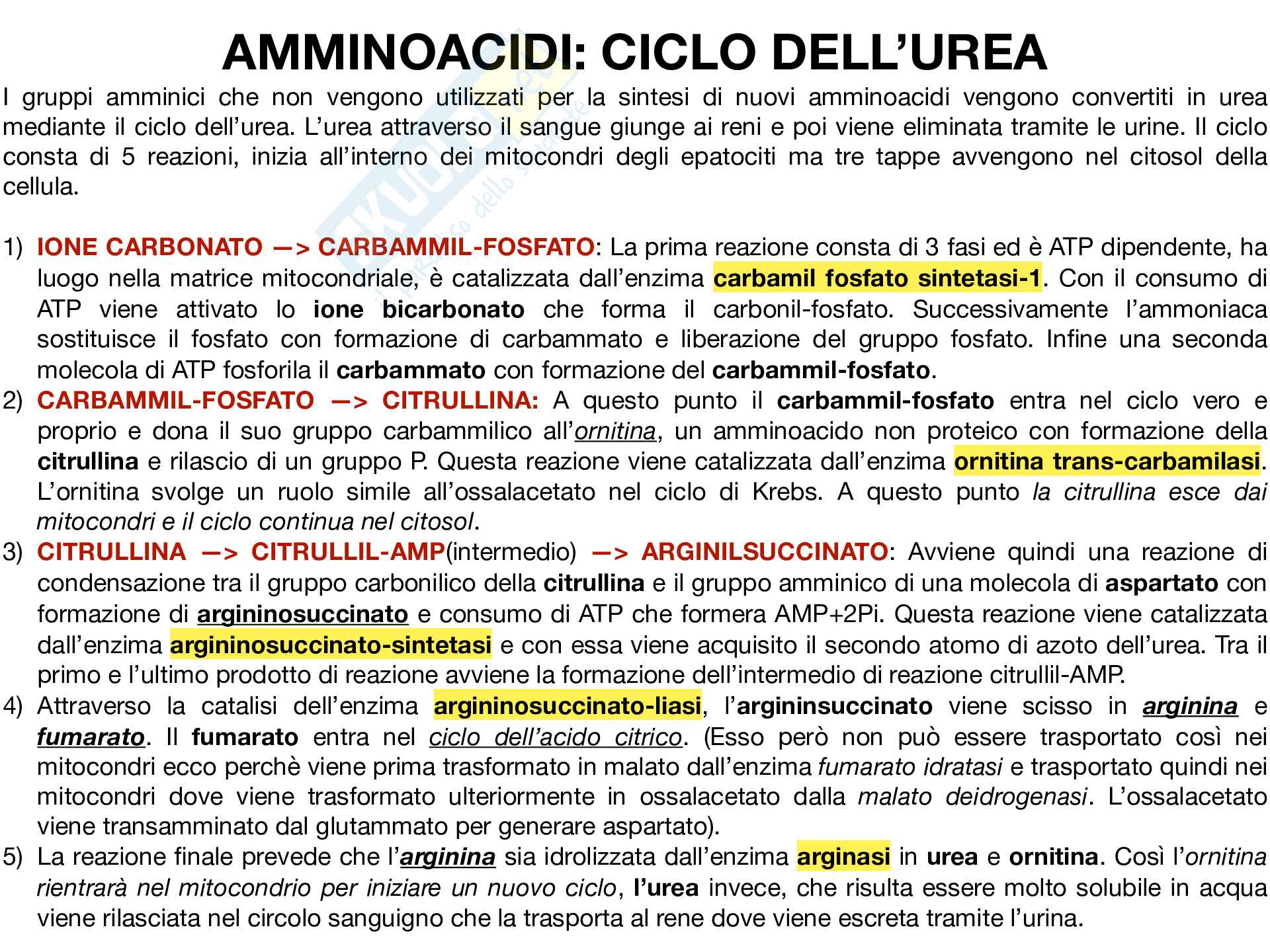 Biochimica Pag. 6