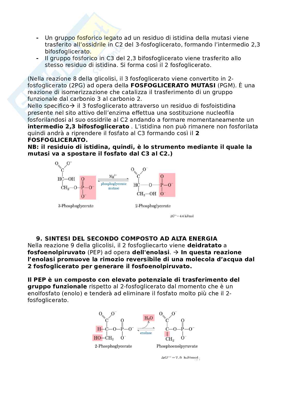 Biochimica Pag. 6