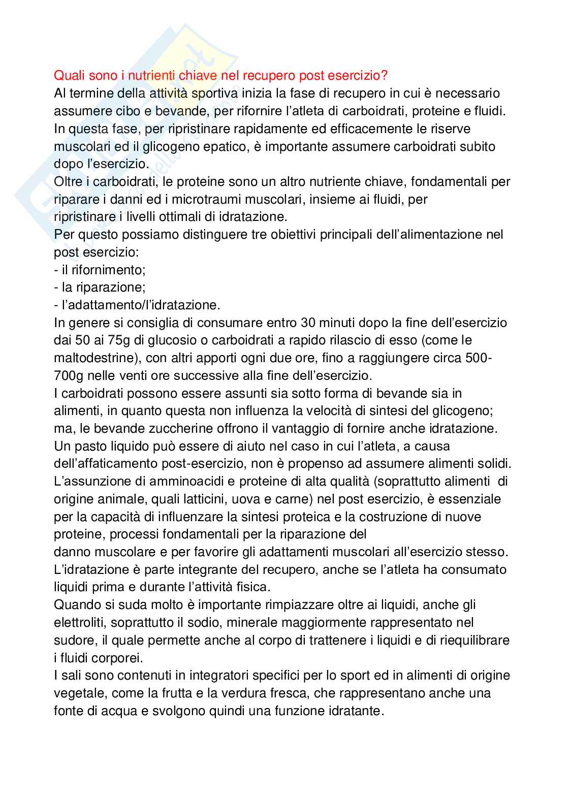 Paniere Alimentazione per il benessere e l'attività fisica - (2026) - Risposte aperte corrette  Pag. 31