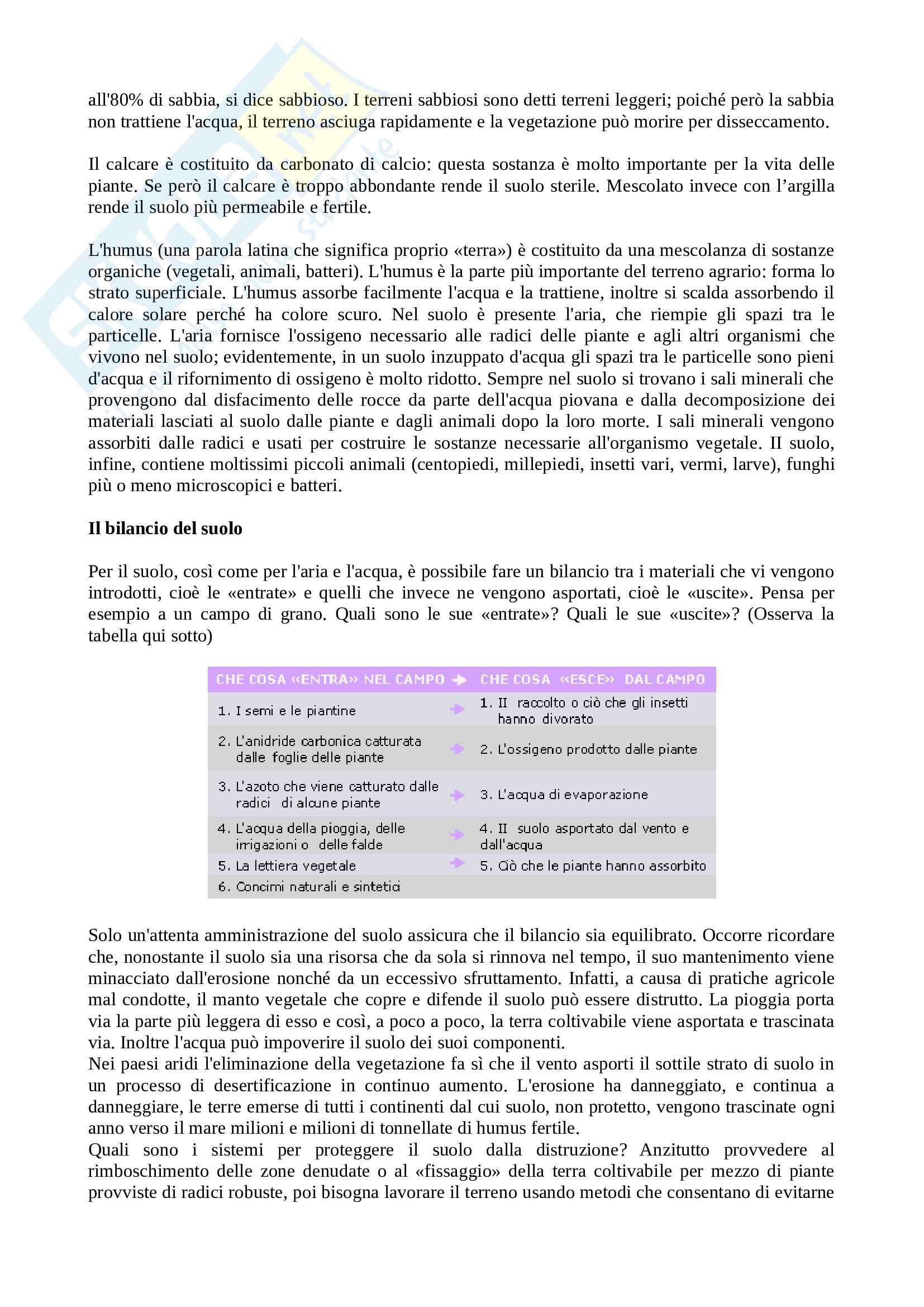 Il terreno agrario Pag. 2