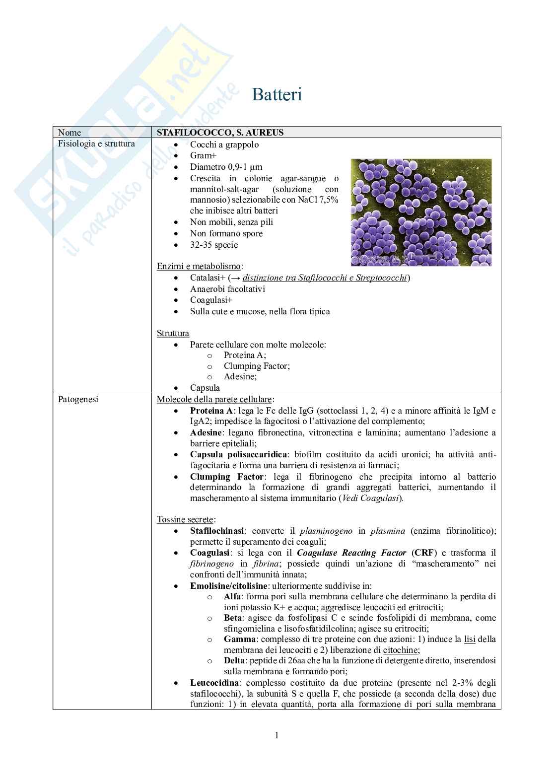 Schemi di Batteriologia Pag. 1