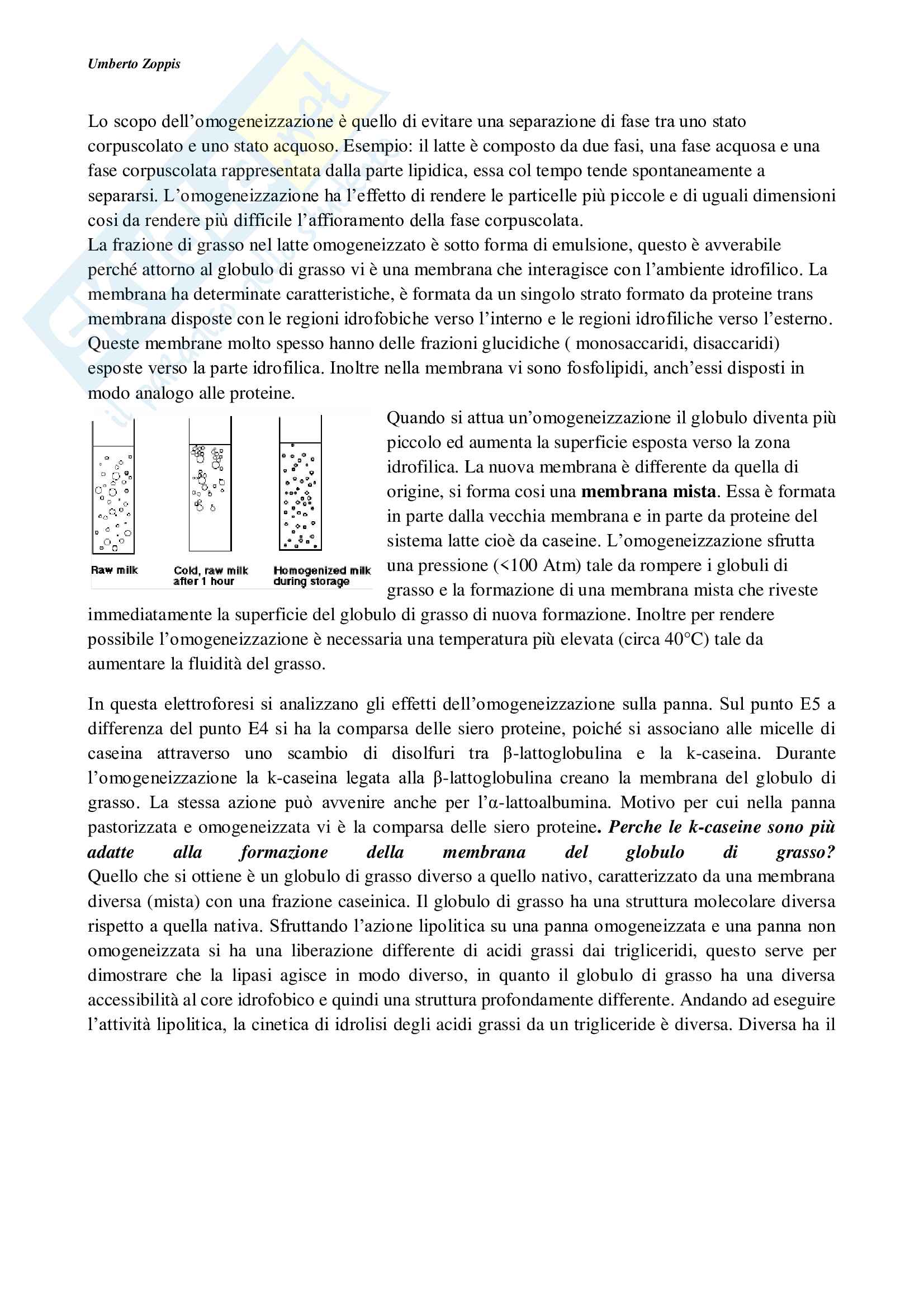 Biochimica alimentare + domande d'esame Pag. 31