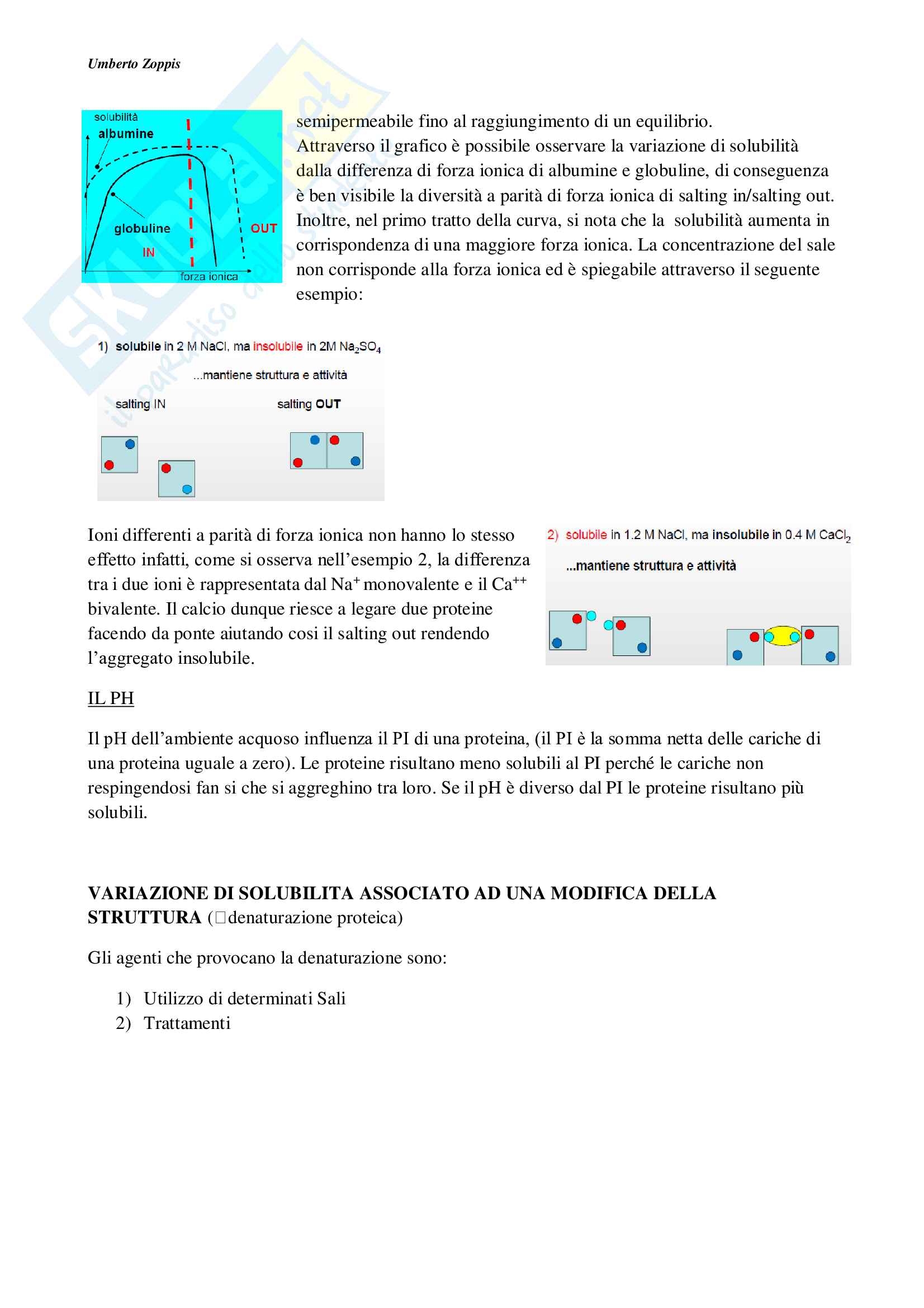 Biochimica alimentare + domande d'esame Pag. 6