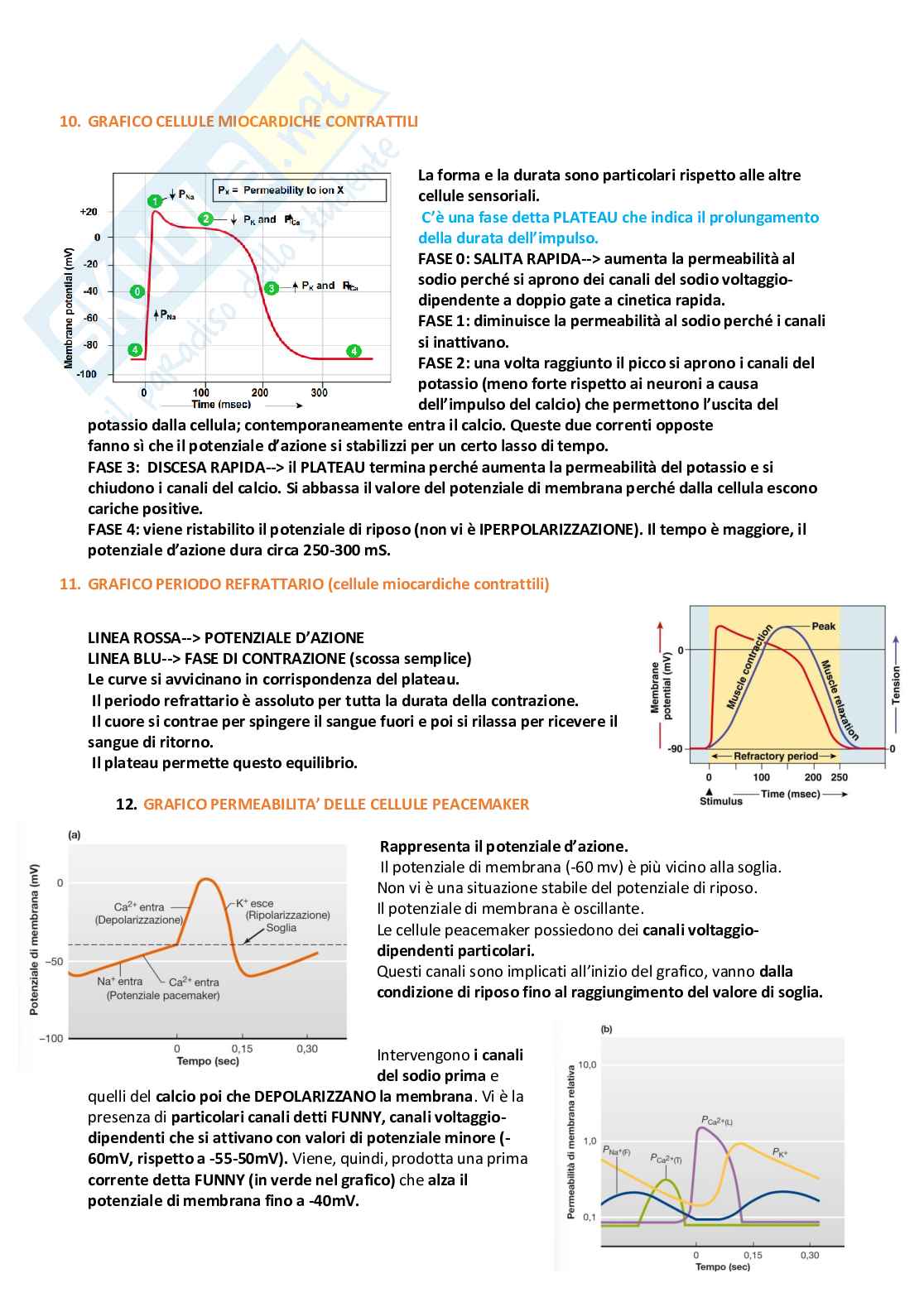Fisiologia – Appunti completi e schematici per l’esame Pag. 16