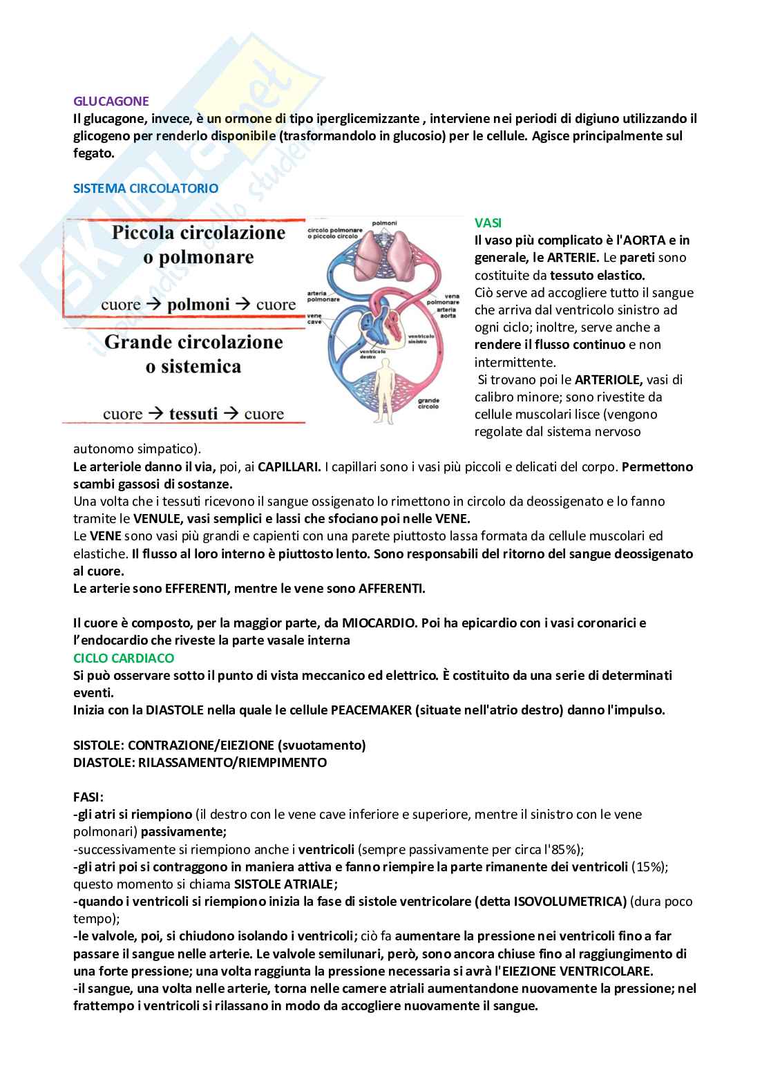 Fisiologia – Appunti completi e schematici per l’esame Pag. 21
