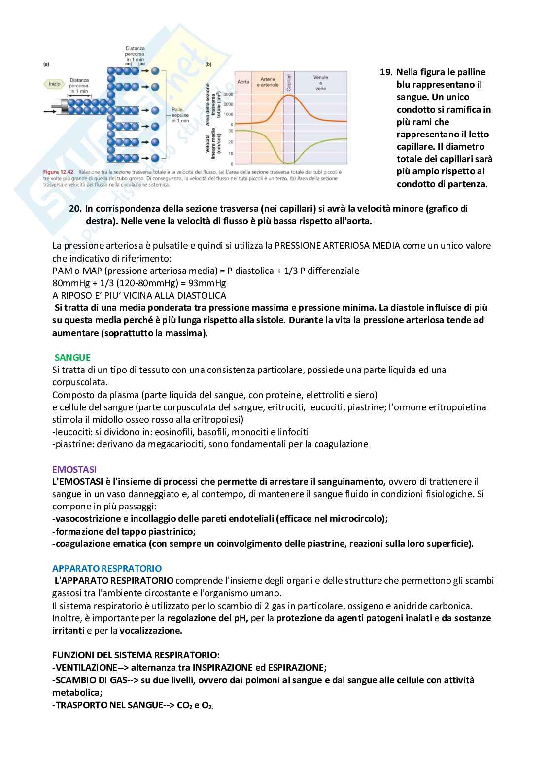 Fisiologia – Appunti completi e schematici per l’esame Pag. 26