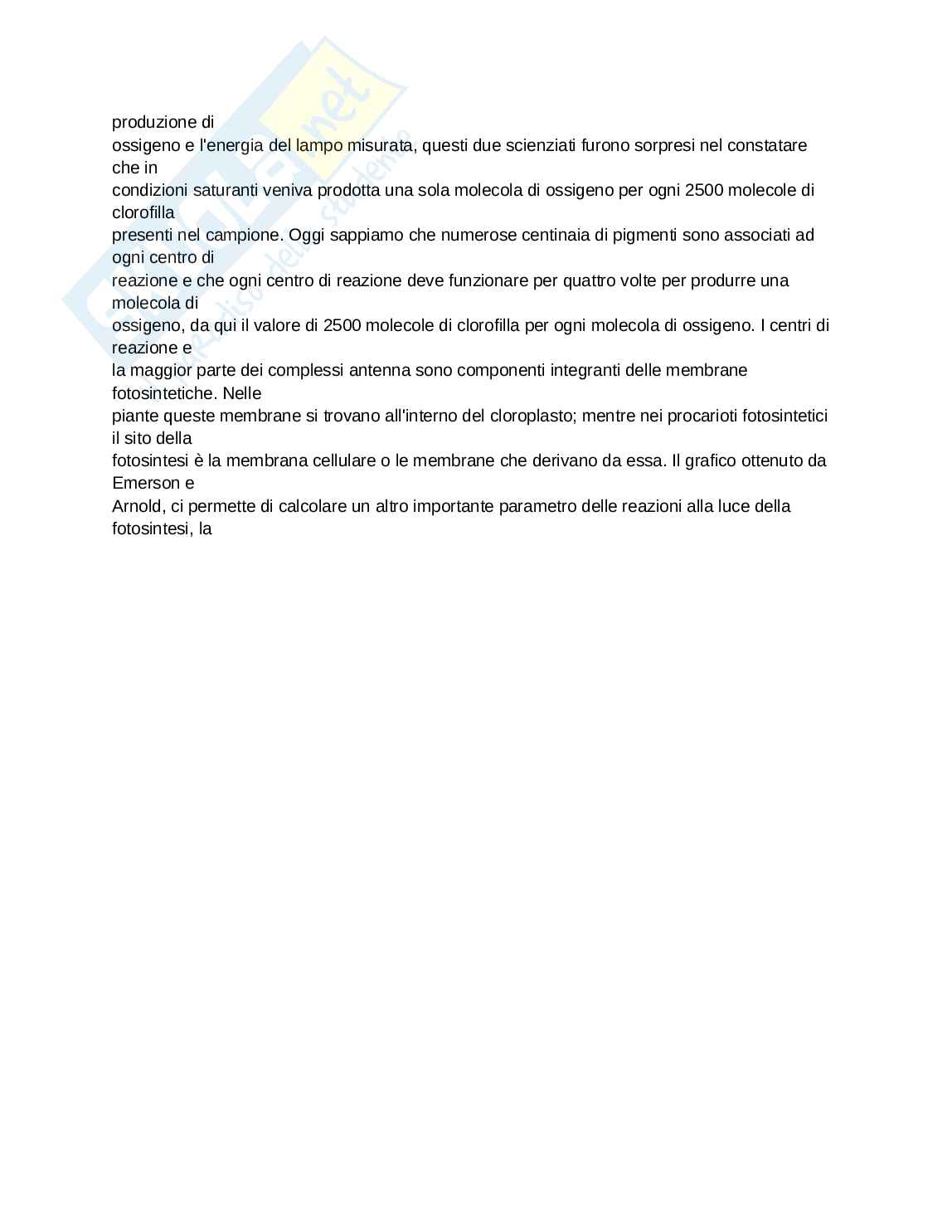 Materiale di approfondimento sulle gibberelline  Pag. 6