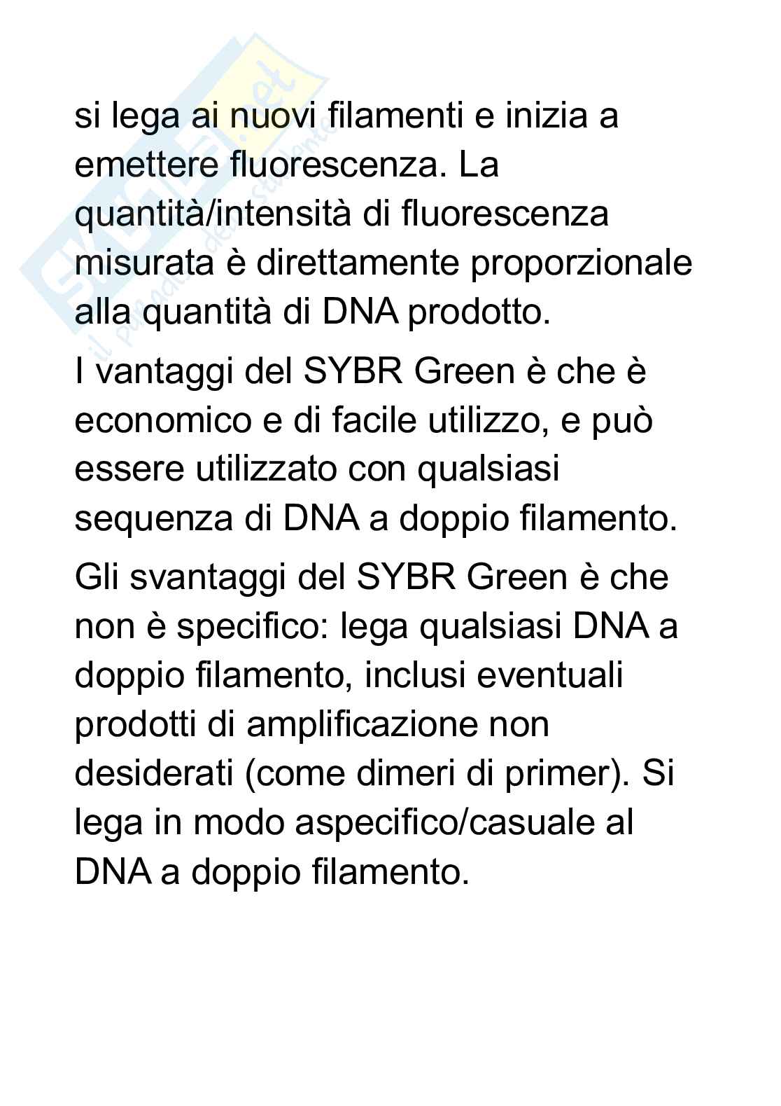 Schemi  di Biologia molecolare  Pag. 6