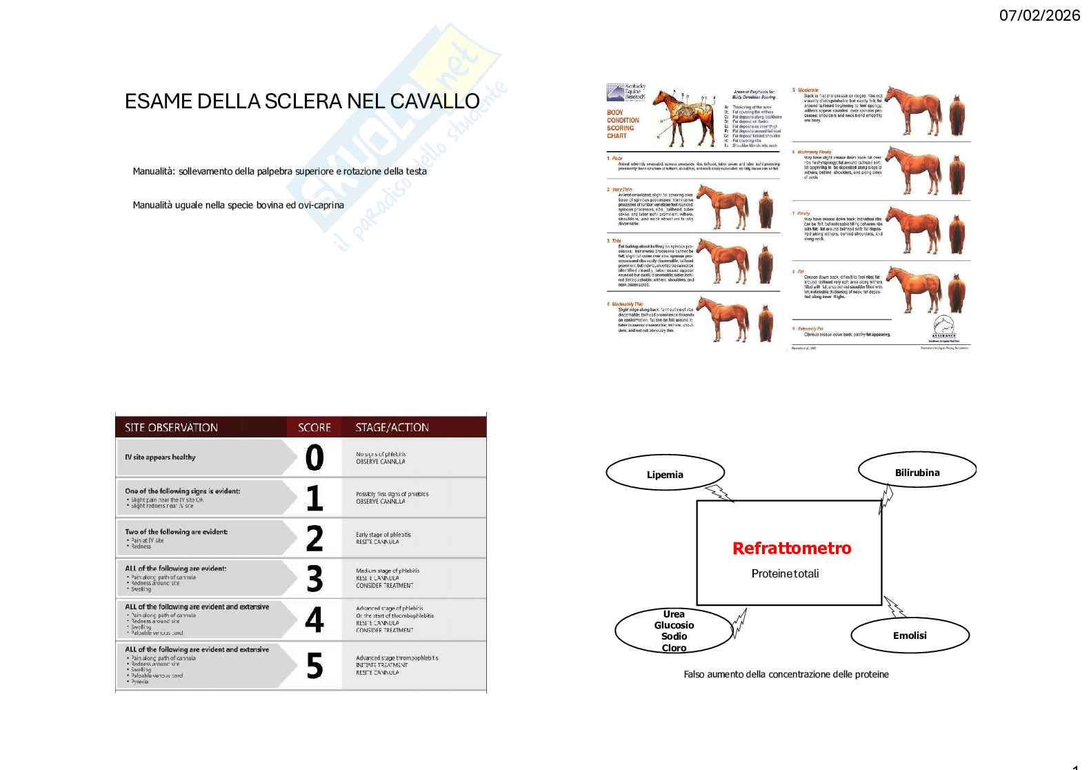 Caso clinico 3 Clinica medica veterinaria Pag. 1