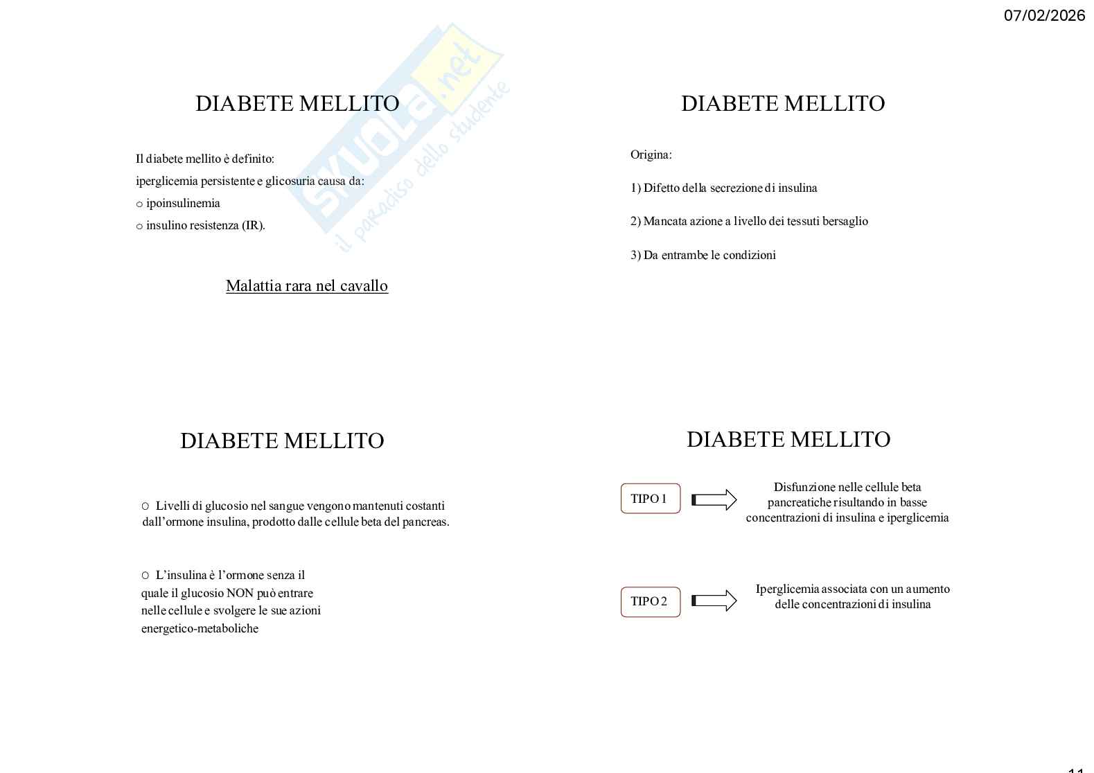 Caso clinico 3 Clinica medica veterinaria Pag. 11