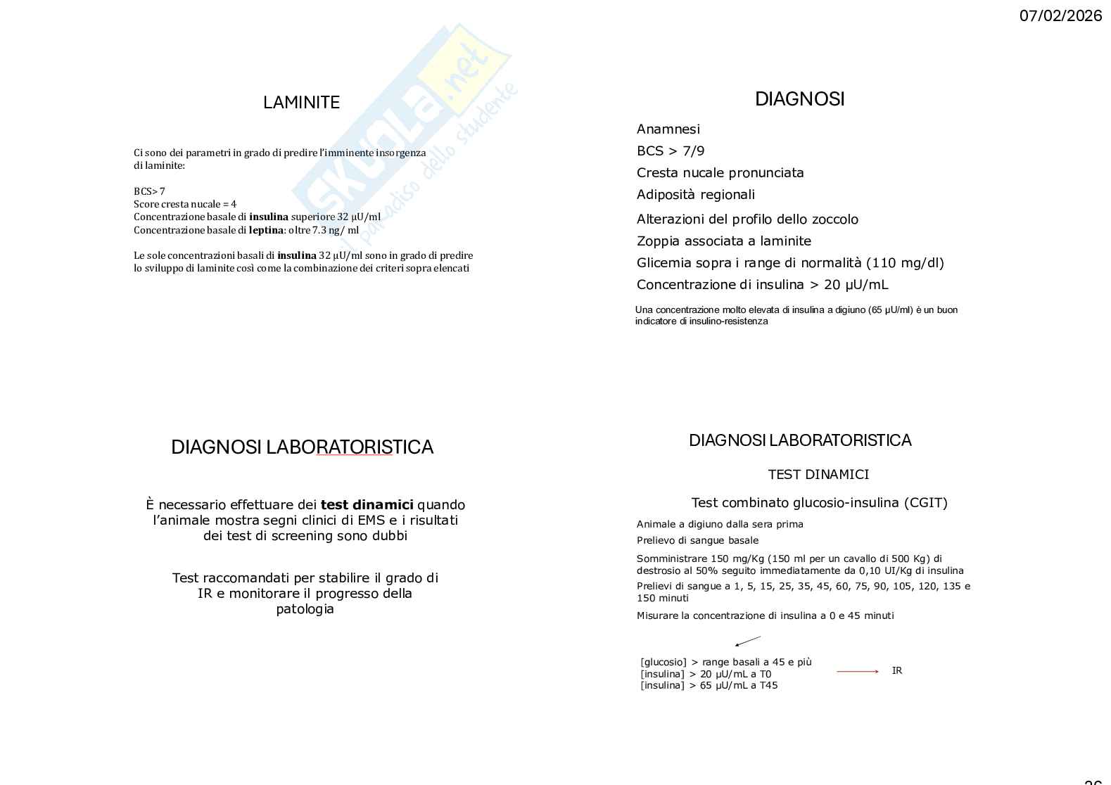 Caso clinico 3 Clinica medica veterinaria Pag. 26