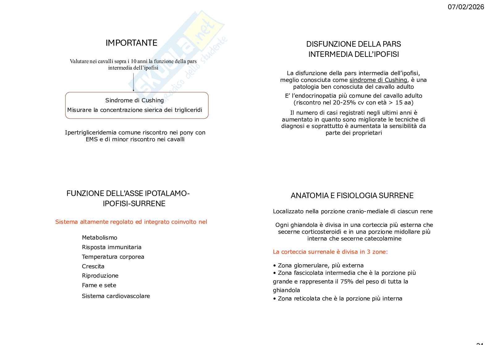 Caso clinico 3 Clinica medica veterinaria Pag. 31