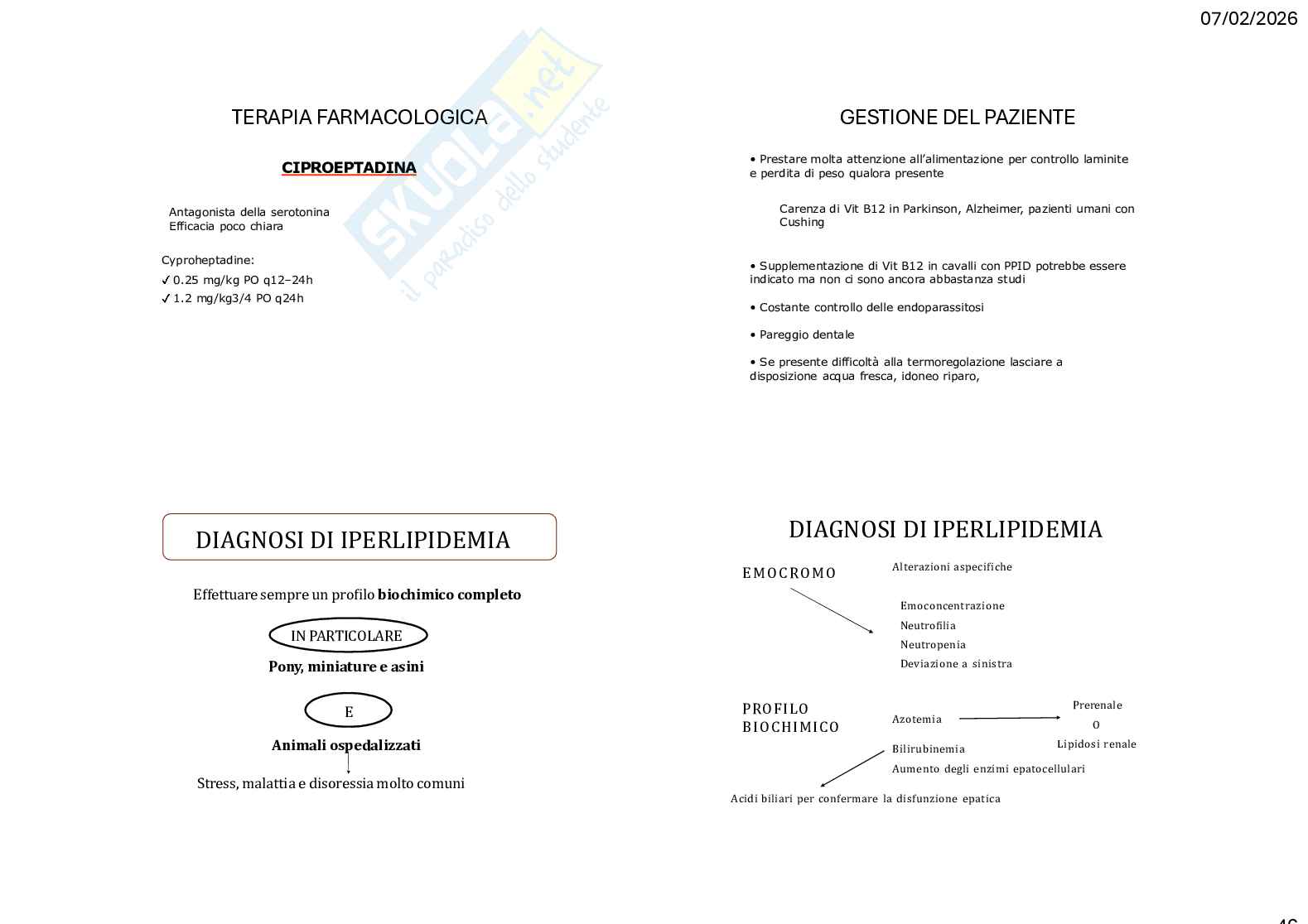 Caso clinico 3 Clinica medica veterinaria Pag. 46