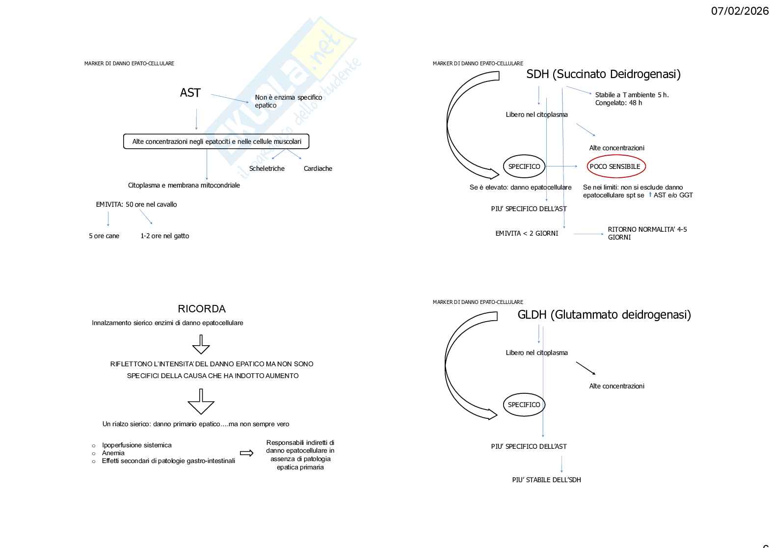 Caso clinico 3 Clinica medica veterinaria Pag. 6