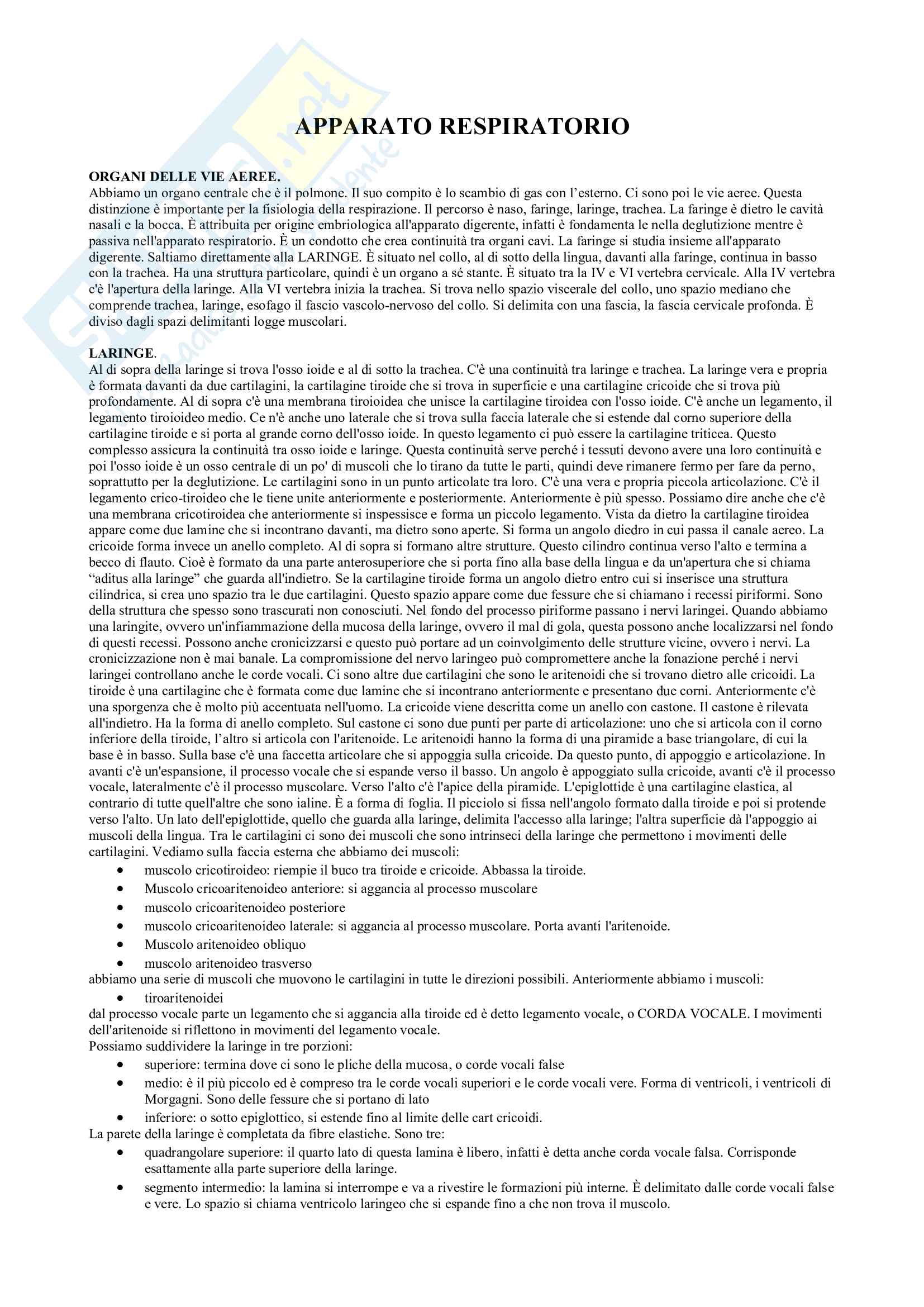 Apparato respiratorio, Appunti Pag. 1