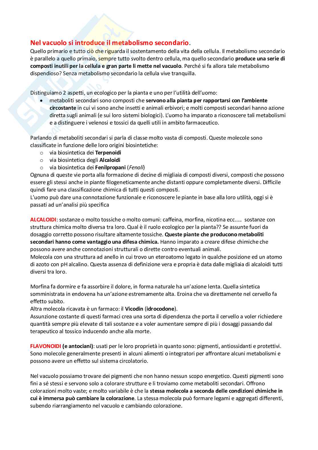 Appunti Biologia vegetale Pag. 41