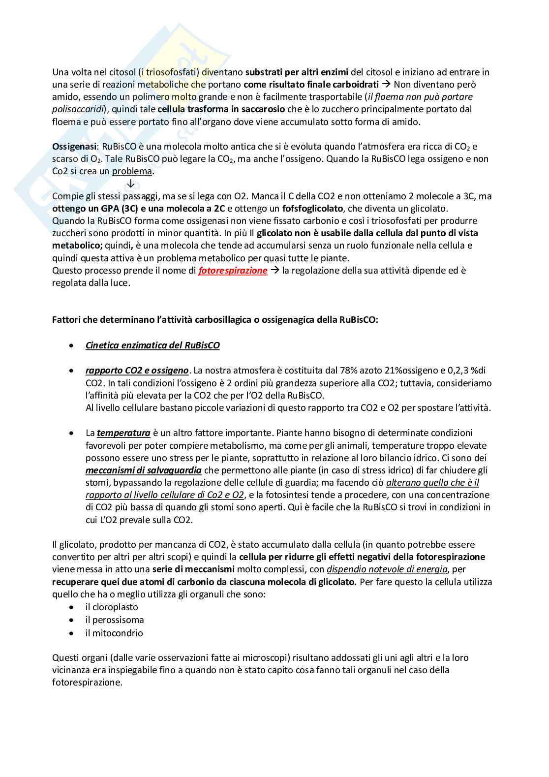 Appunti Biologia vegetale Pag. 66