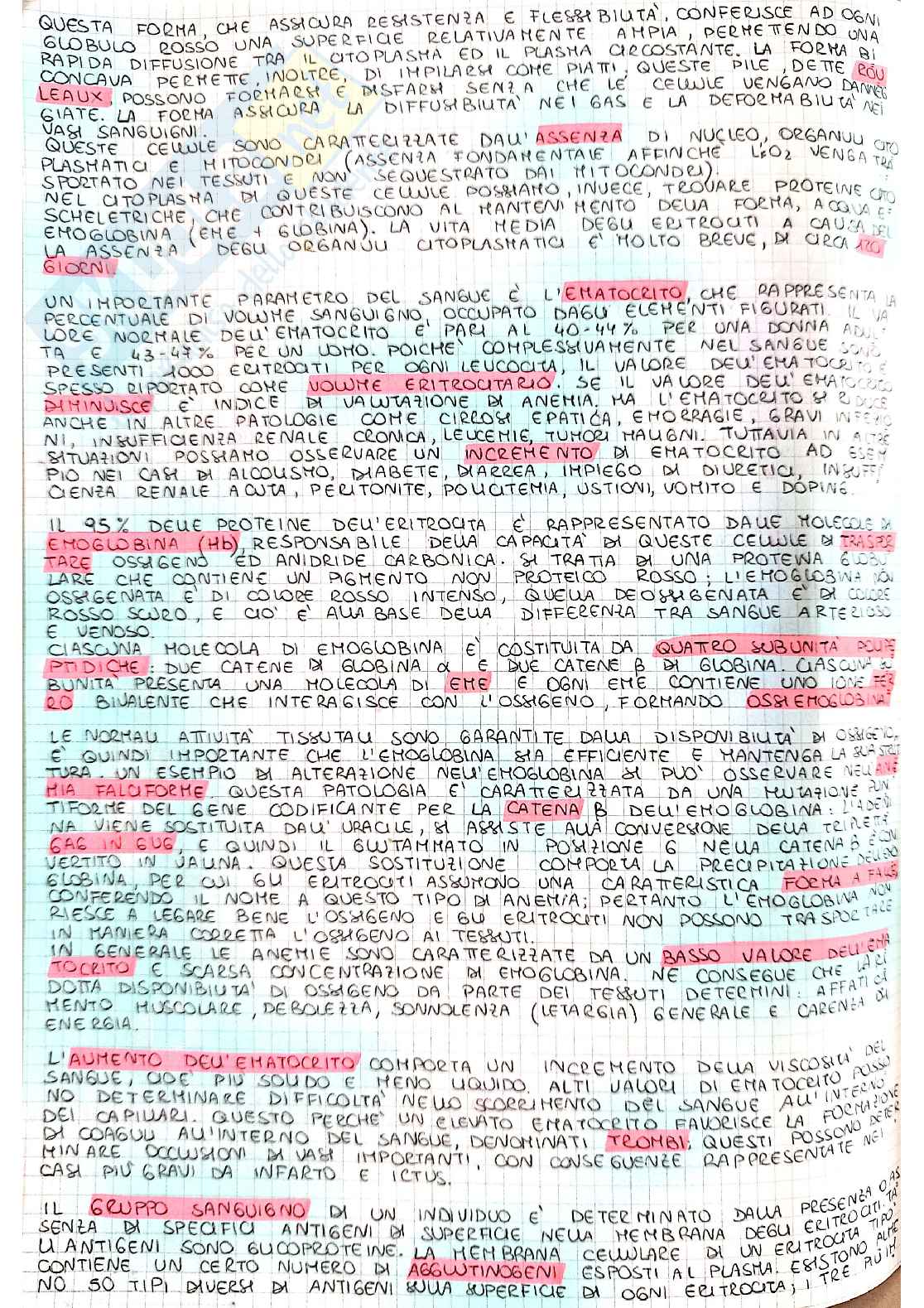 Istologia(studio dei tessuti) Pag. 26