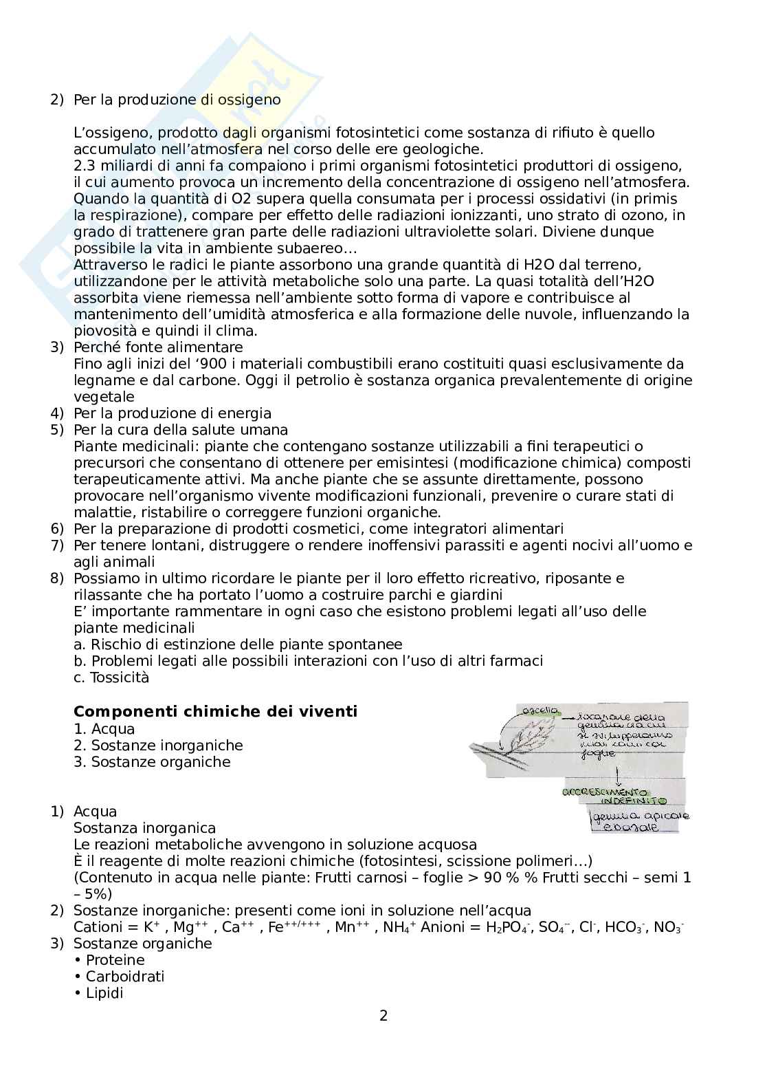 Biologia vegetale e botanica farmaceutica Pag. 2