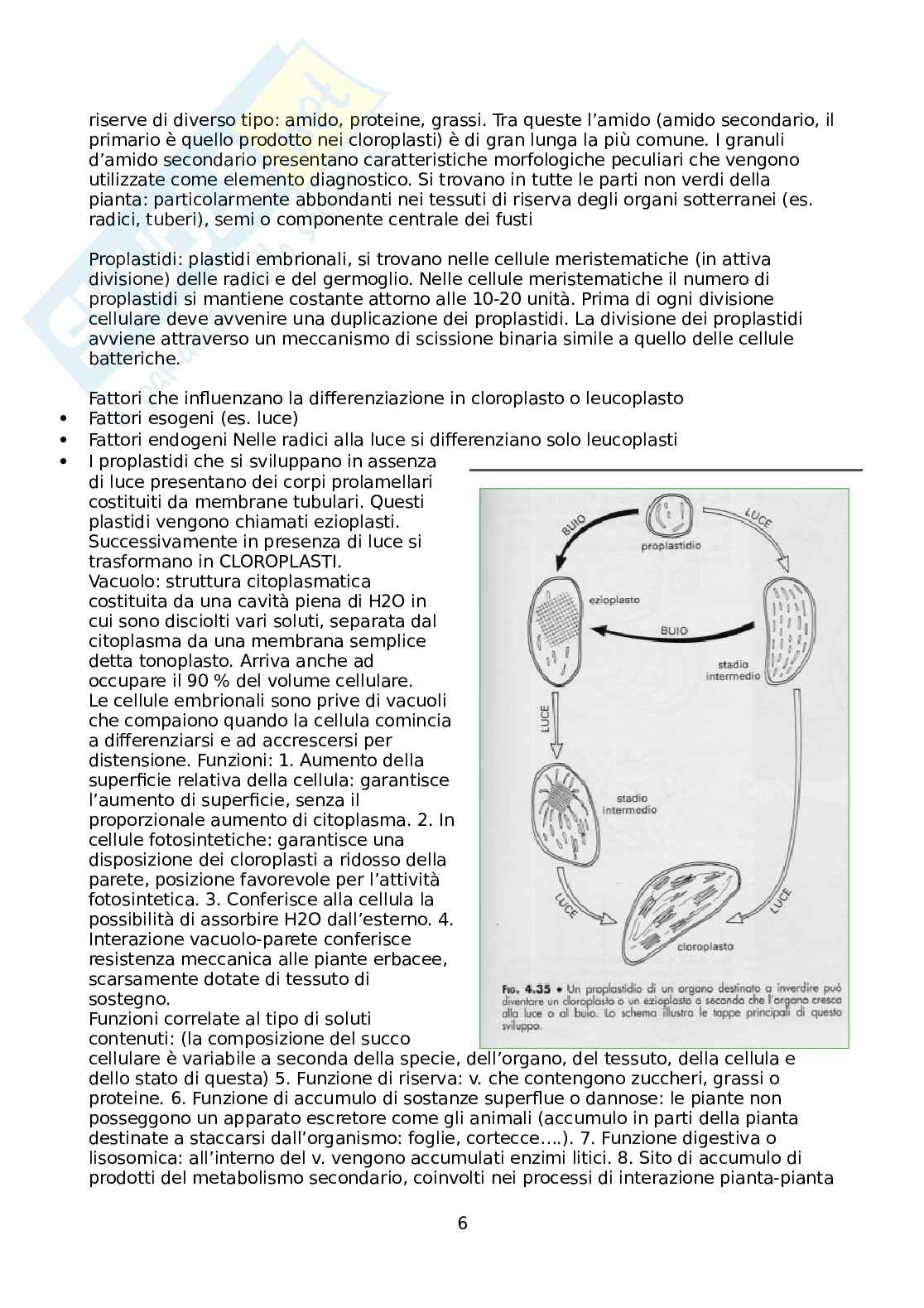 Biologia vegetale e botanica farmaceutica Pag. 6