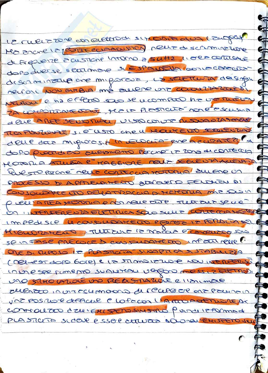 Psicobiologia: plasticità cerebrale, invecchiamento e riserva cognitiva Pag. 1