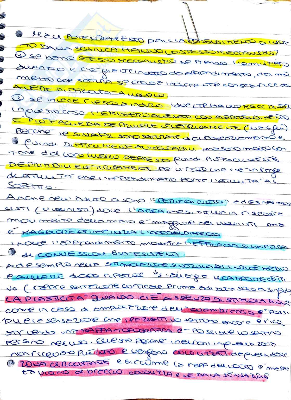 Psicobiologia: plasticità cerebrale, invecchiamento e riserva cognitiva Pag. 2