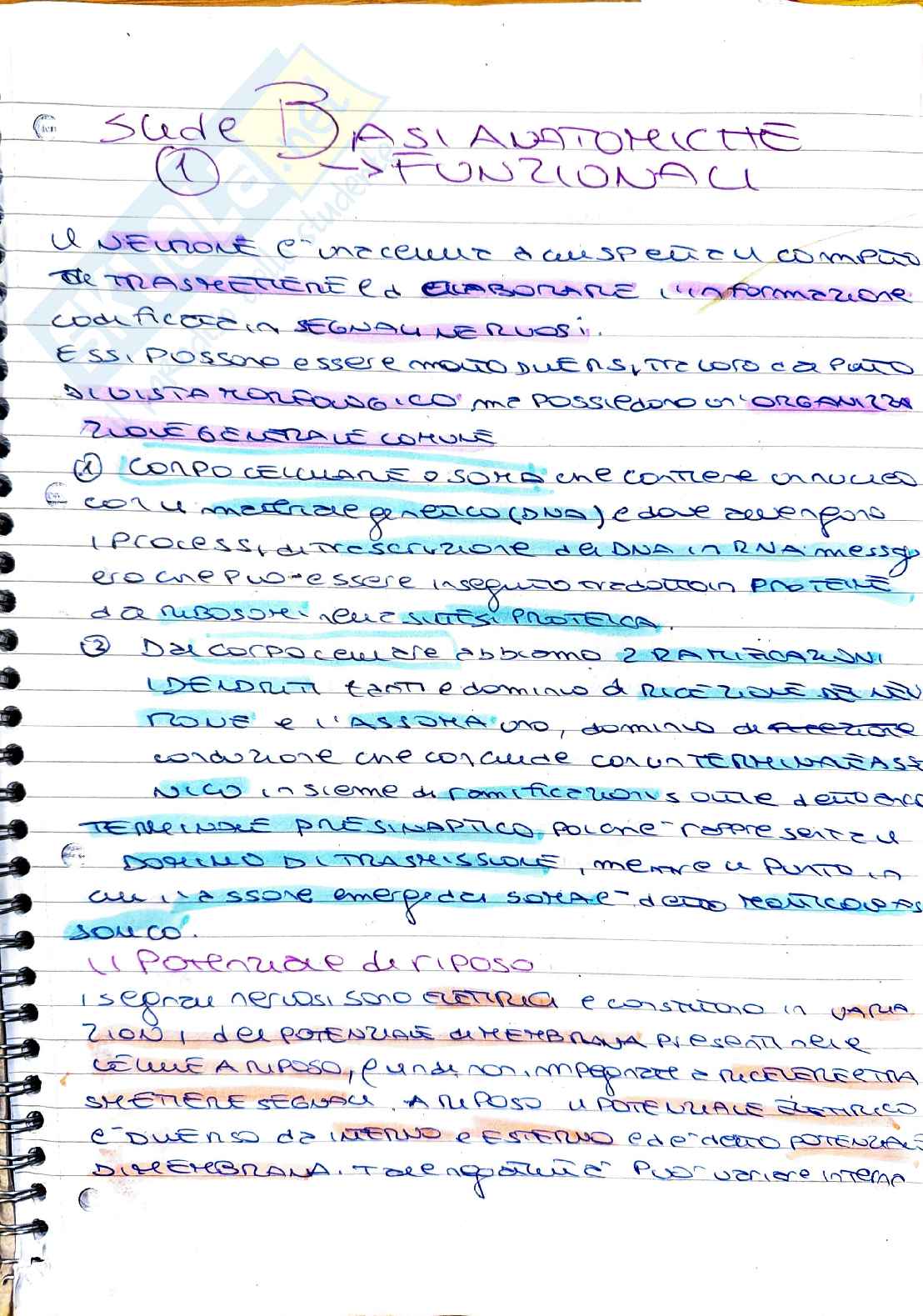 Elementi di psicobiologia: fisiologia del neurone e potenziale d’azione Pag. 1