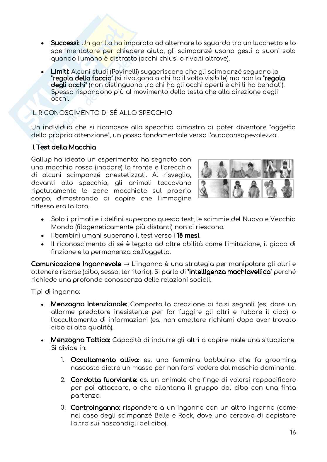 Riassunto esame Psicologia della comunicazione, Prof. Gilardi Silvia, libro consigliato Fondamenti di psicologia della comunicazione , Anolli Pag. 16