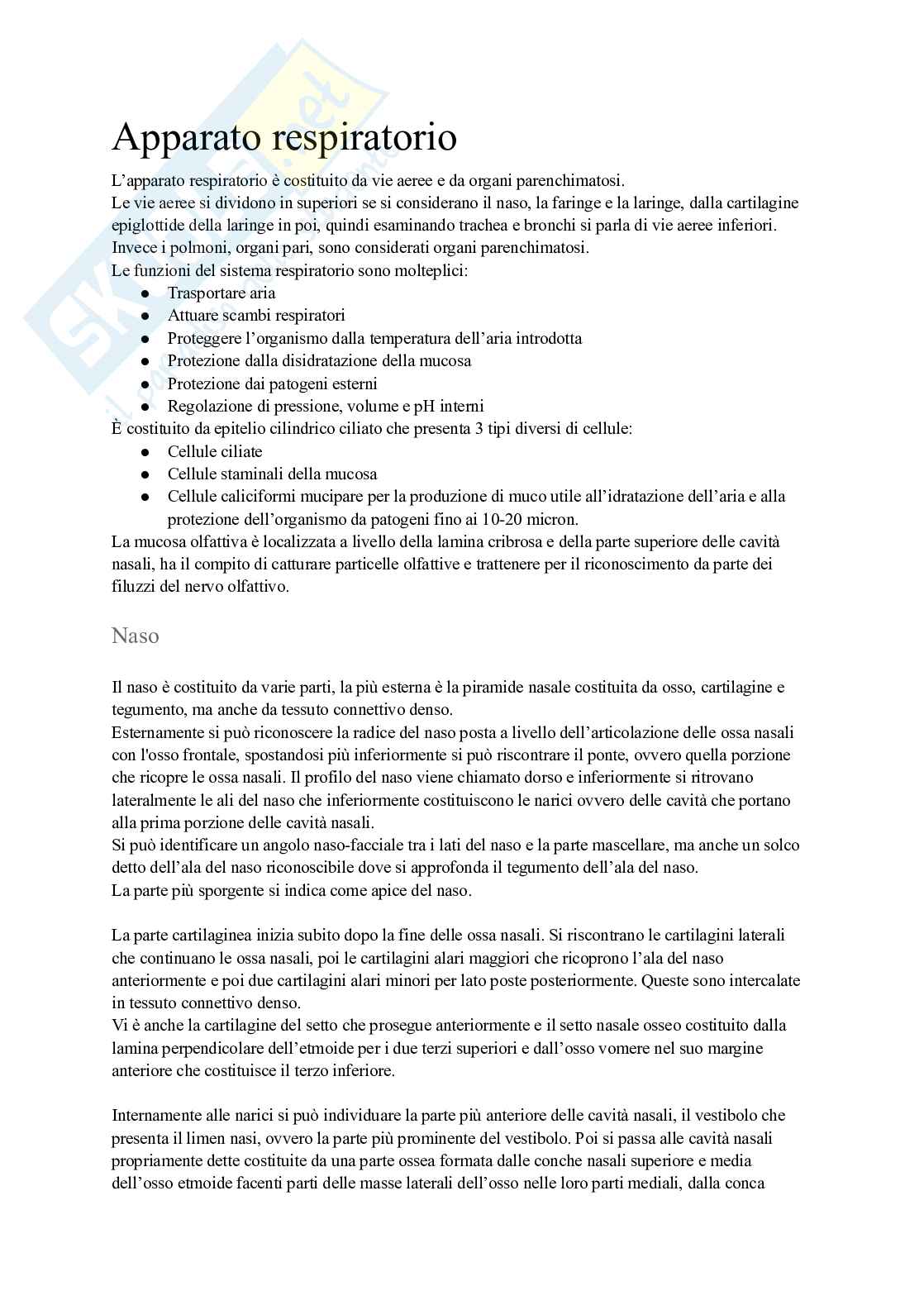 Apparato respiratorio  Pag. 1