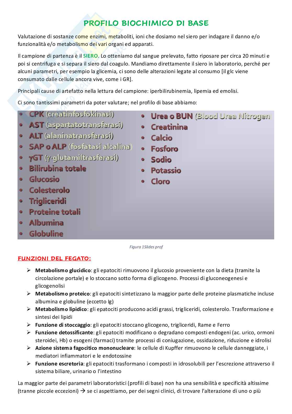 Profilo Biochimico di base