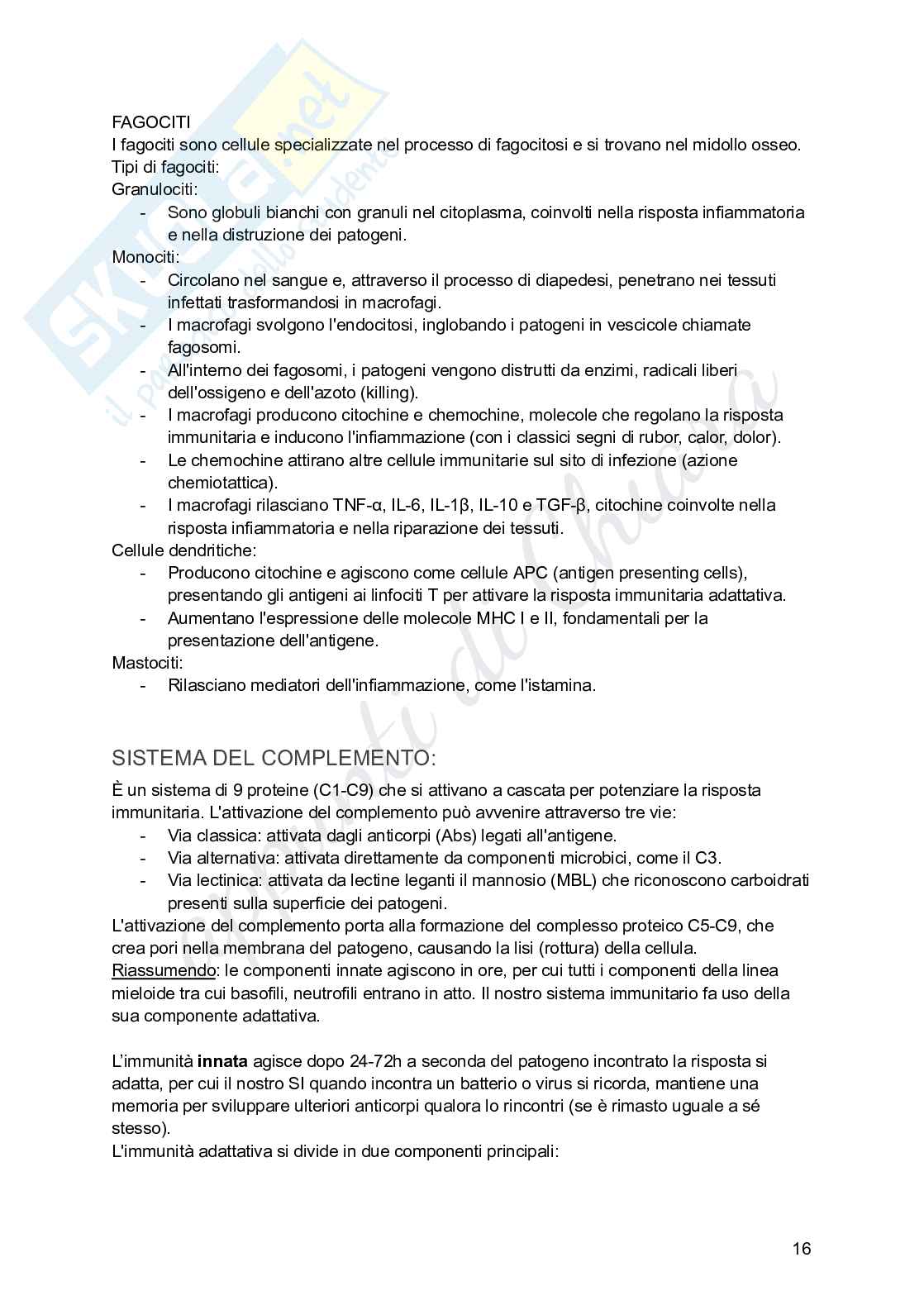 Microbiologia per infermieristica Pag. 16