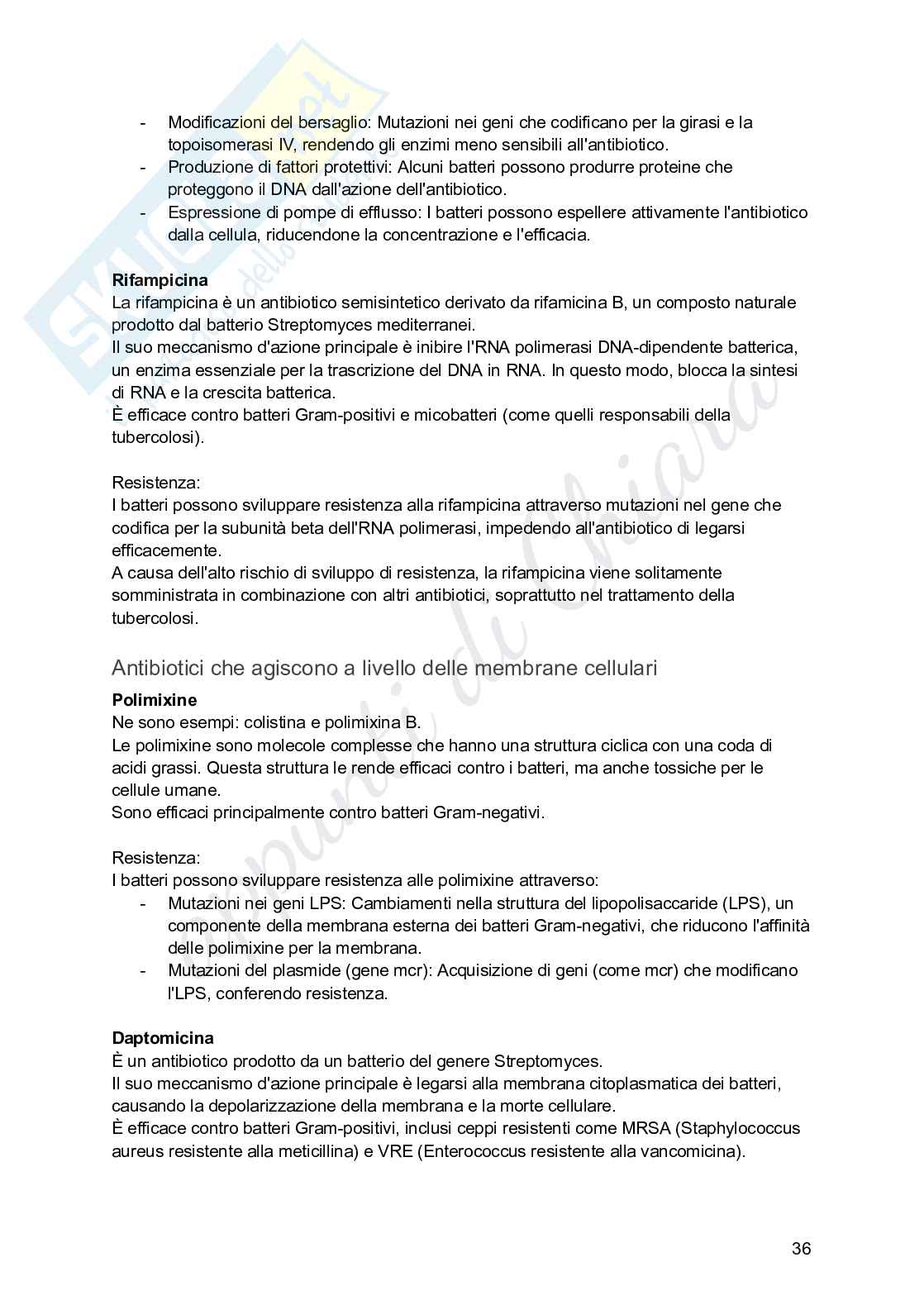 Microbiologia per infermieristica Pag. 36